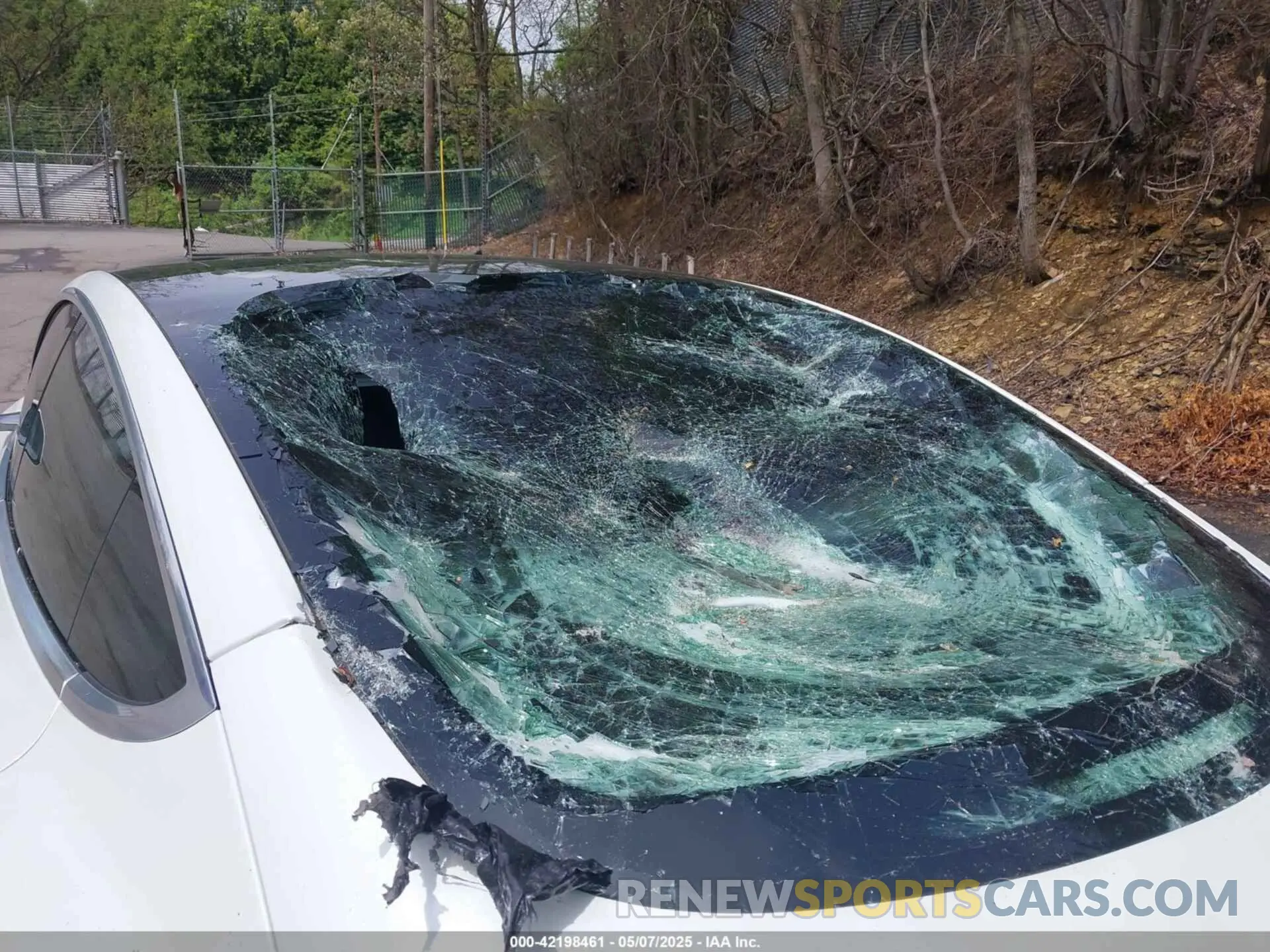 6 fotografías del automóvil dañado 5YJ3E1EB0LF712545 TESLA MODEL 3 2020