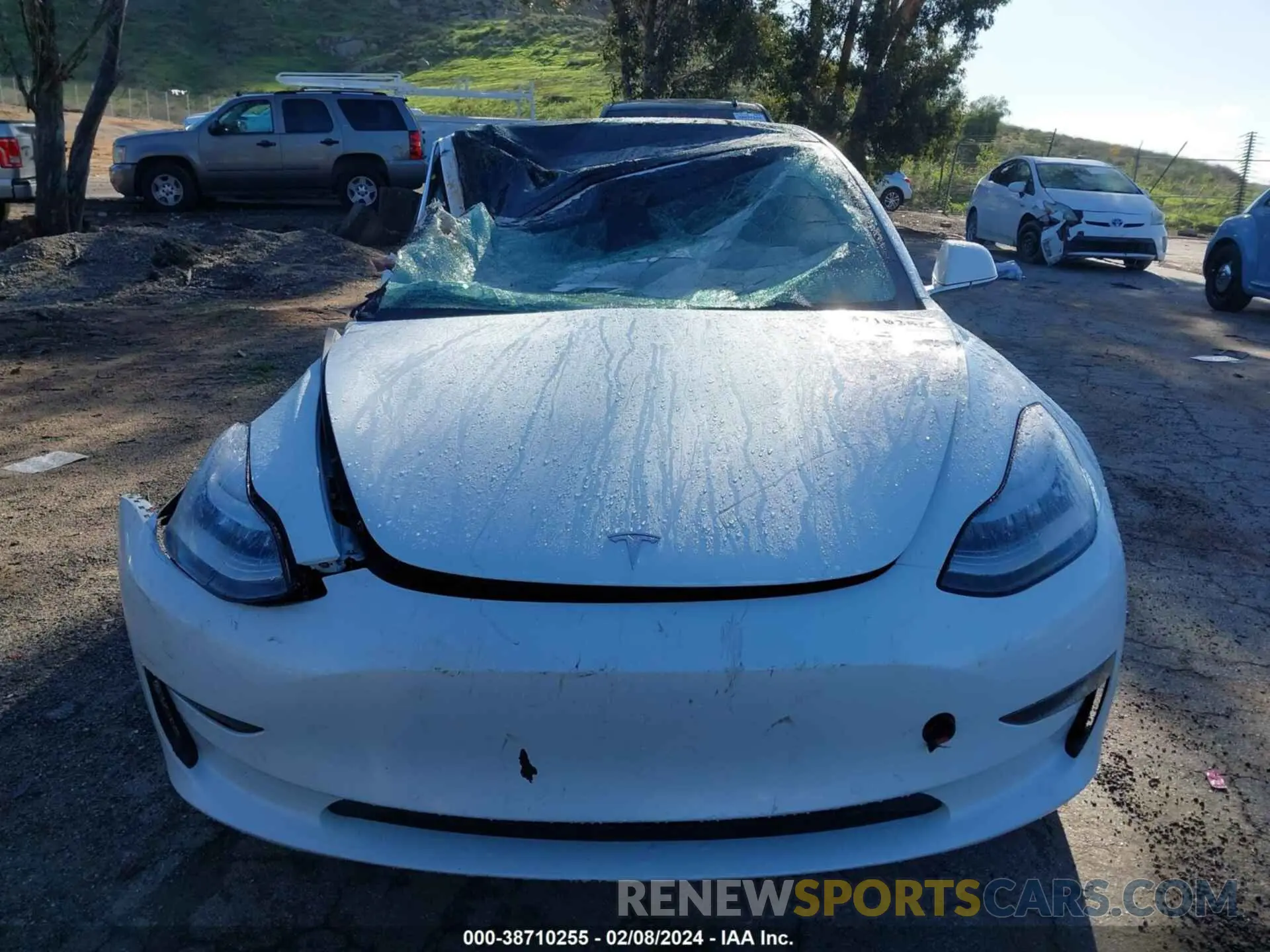 12 fotografías del automóvil dañado 5YJ3E1EB3LF619244 TESLA MODEL 3 2020