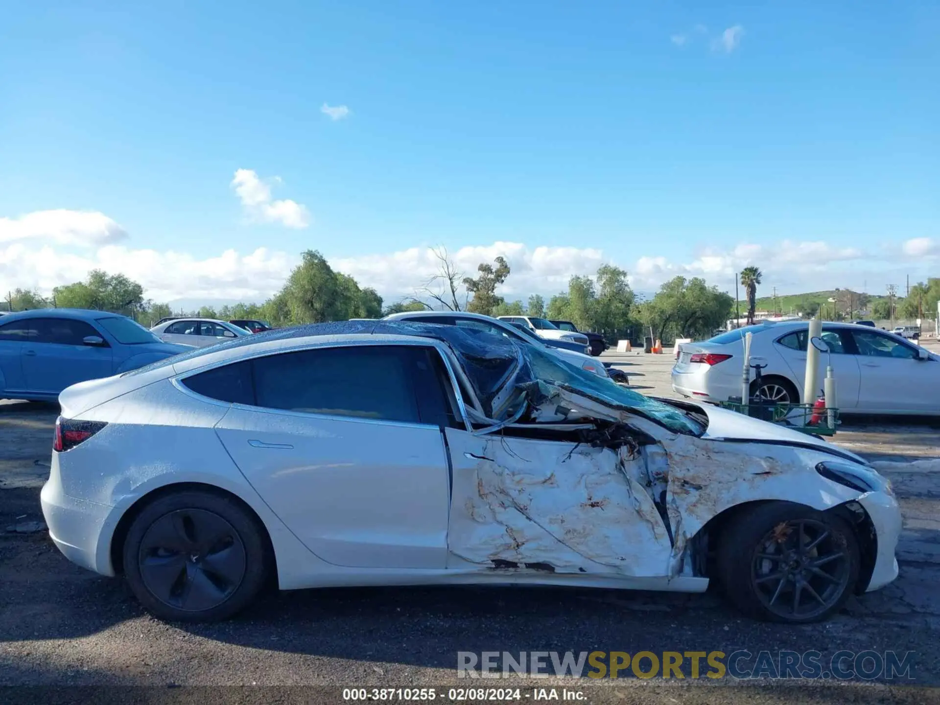 13 fotografías del automóvil dañado 5YJ3E1EB3LF619244 TESLA MODEL 3 2020