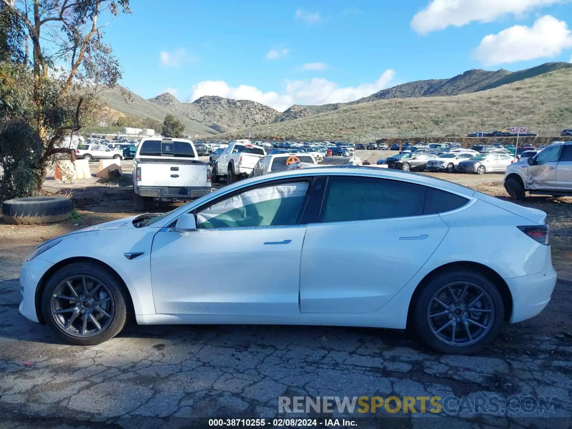 14 fotografías del automóvil dañado 5YJ3E1EB3LF619244 TESLA MODEL 3 2020