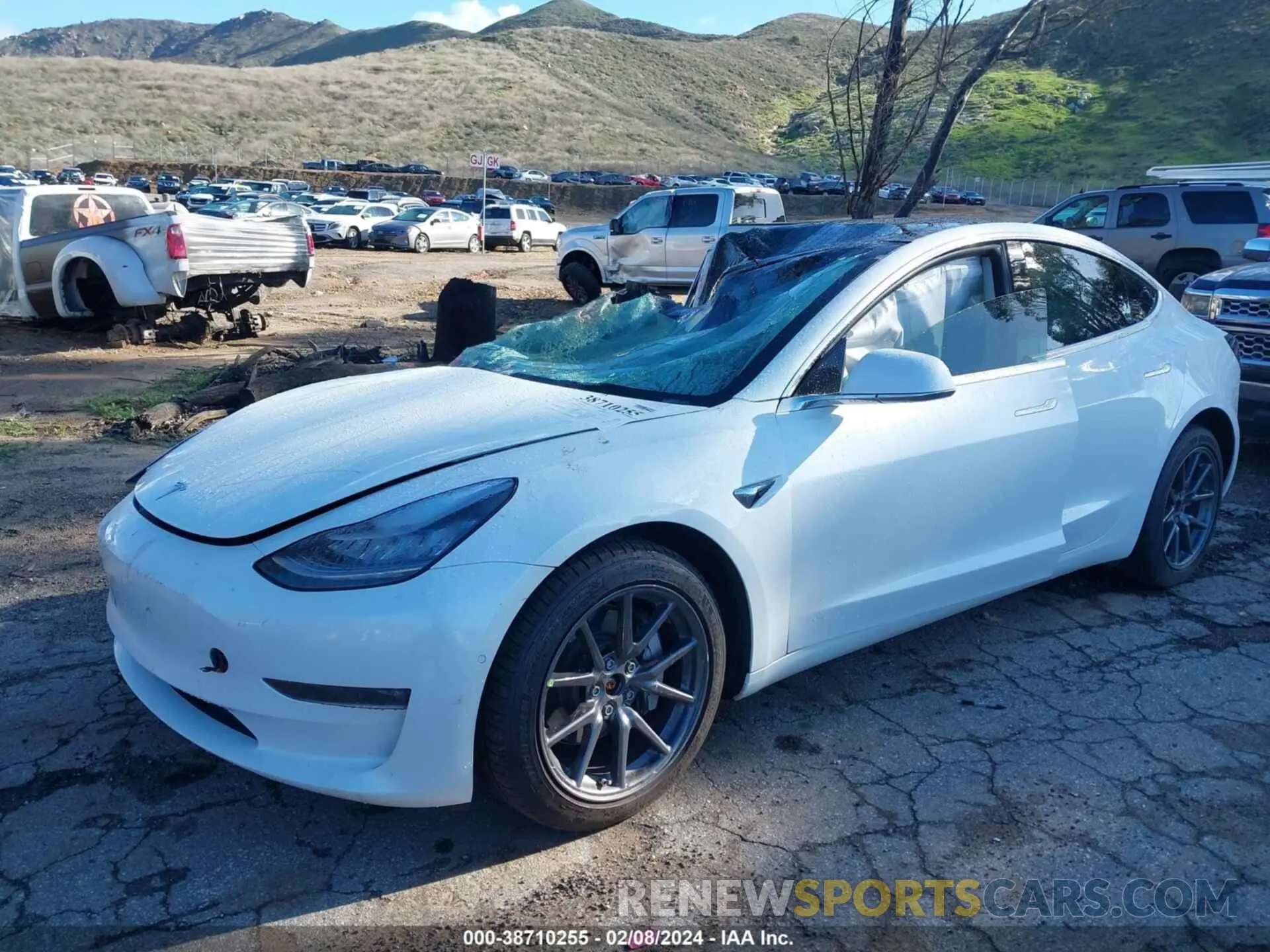2 fotografías del automóvil dañado 5YJ3E1EB3LF619244 TESLA MODEL 3 2020