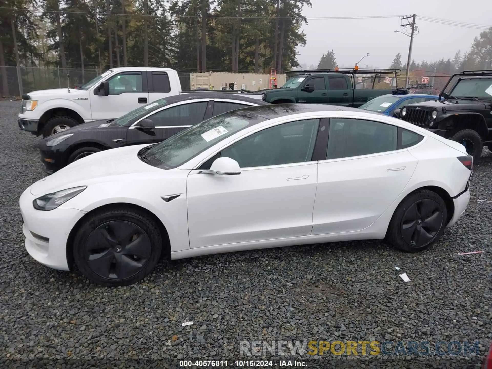 14 fotografías del automóvil dañado 5YJ3E1EB6LF636698 TESLA MODEL 3 2020