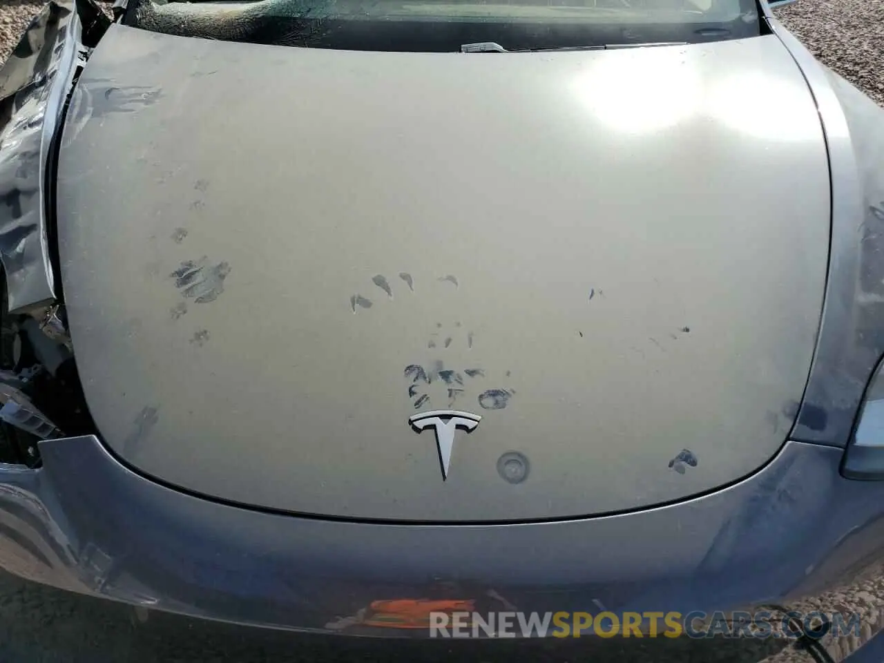 11 fotografías del automóvil dañado 5YJ3E1EB6LF638063 TESLA MODEL 3 2020