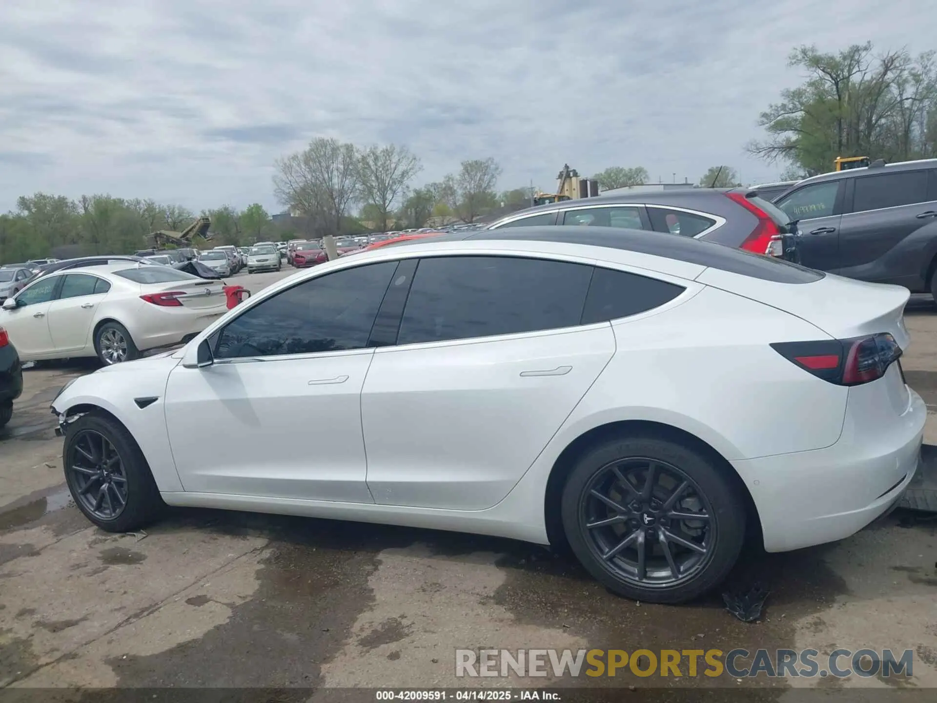 15 fotografías del automóvil dañado 5YJ3E1EB7LF786903 TESLA MODEL 3 2020