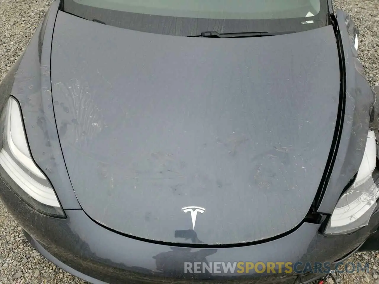 7 fotografías del automóvil dañado 5YJ3E1EB8LF635455 TESLA MODEL 3 2020