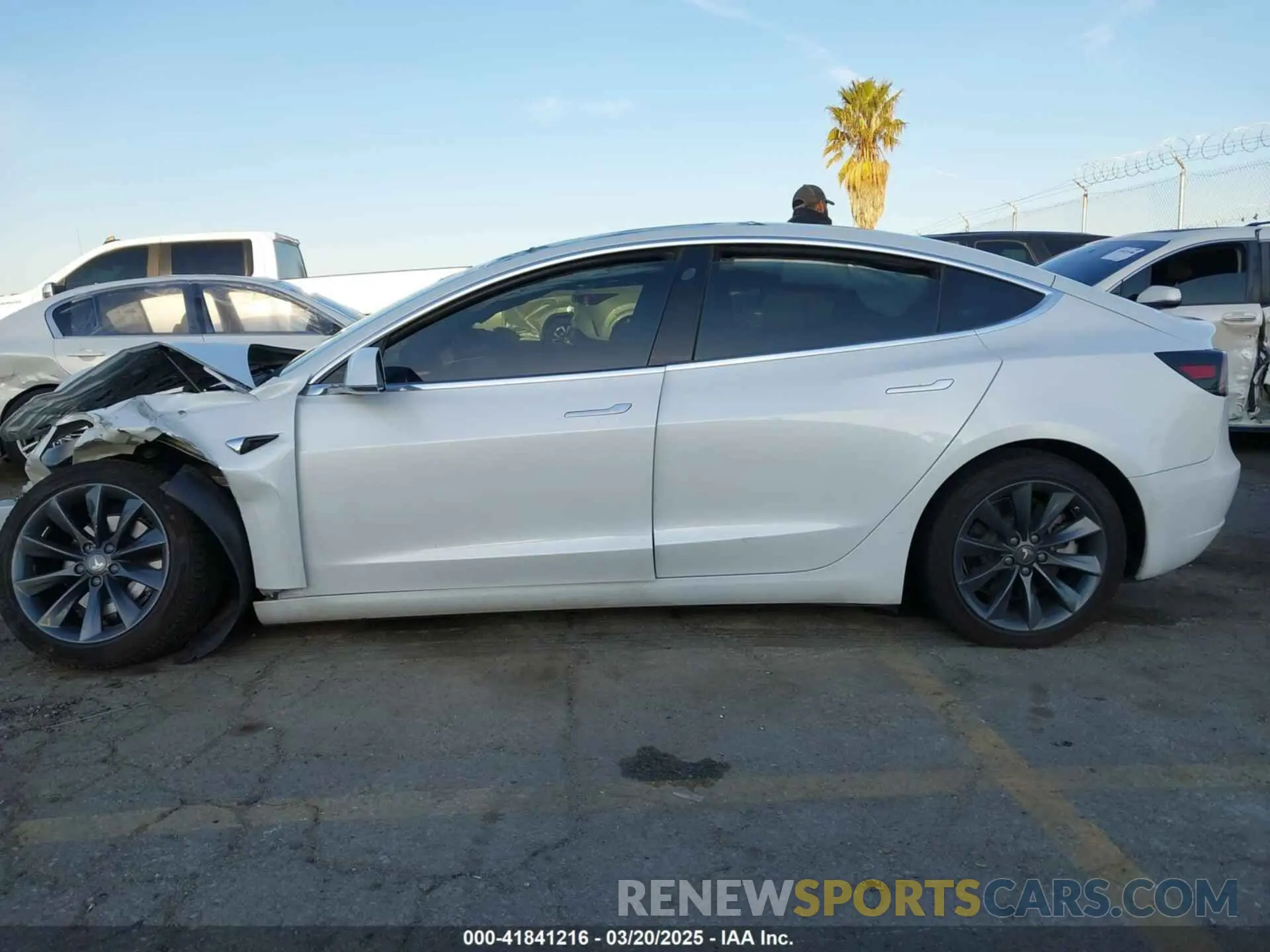 14 fotografías del automóvil dañado 5YJ3E1EC1LF602516 TESLA MODEL 3 2020