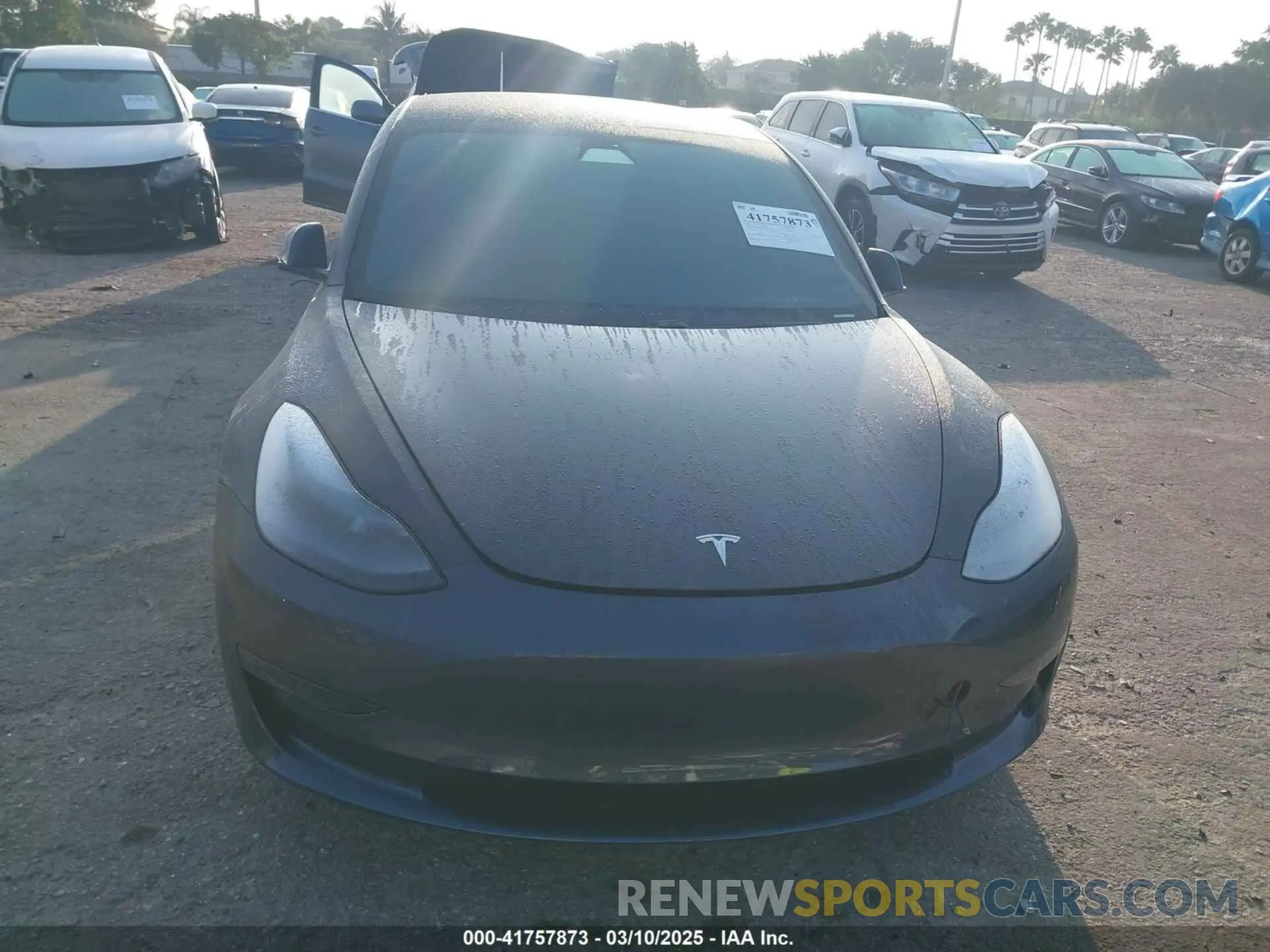 12 fotografías del automóvil dañado 5YJ3E1EA0MF016826 TESLA MODEL 3 2021
