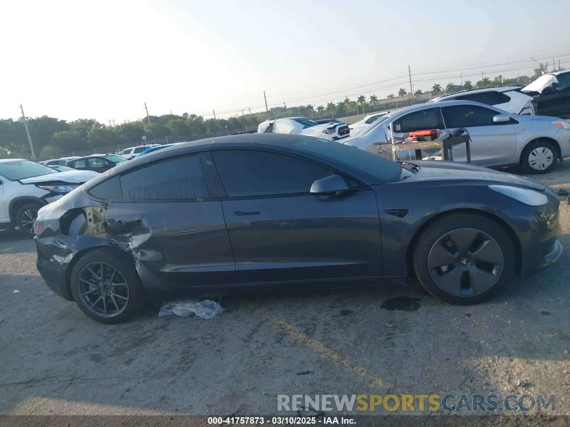 13 fotografías del automóvil dañado 5YJ3E1EA0MF016826 TESLA MODEL 3 2021
