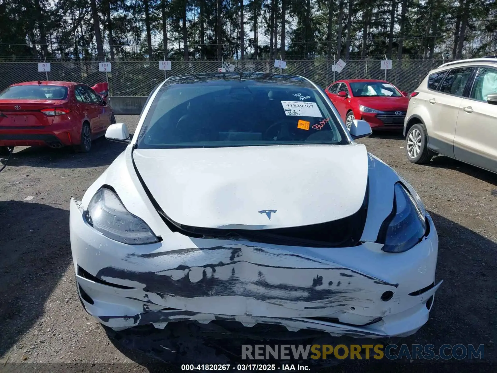 12 fotografías del automóvil dañado 5YJ3E1EA0MF062074 TESLA MODEL 3 2021