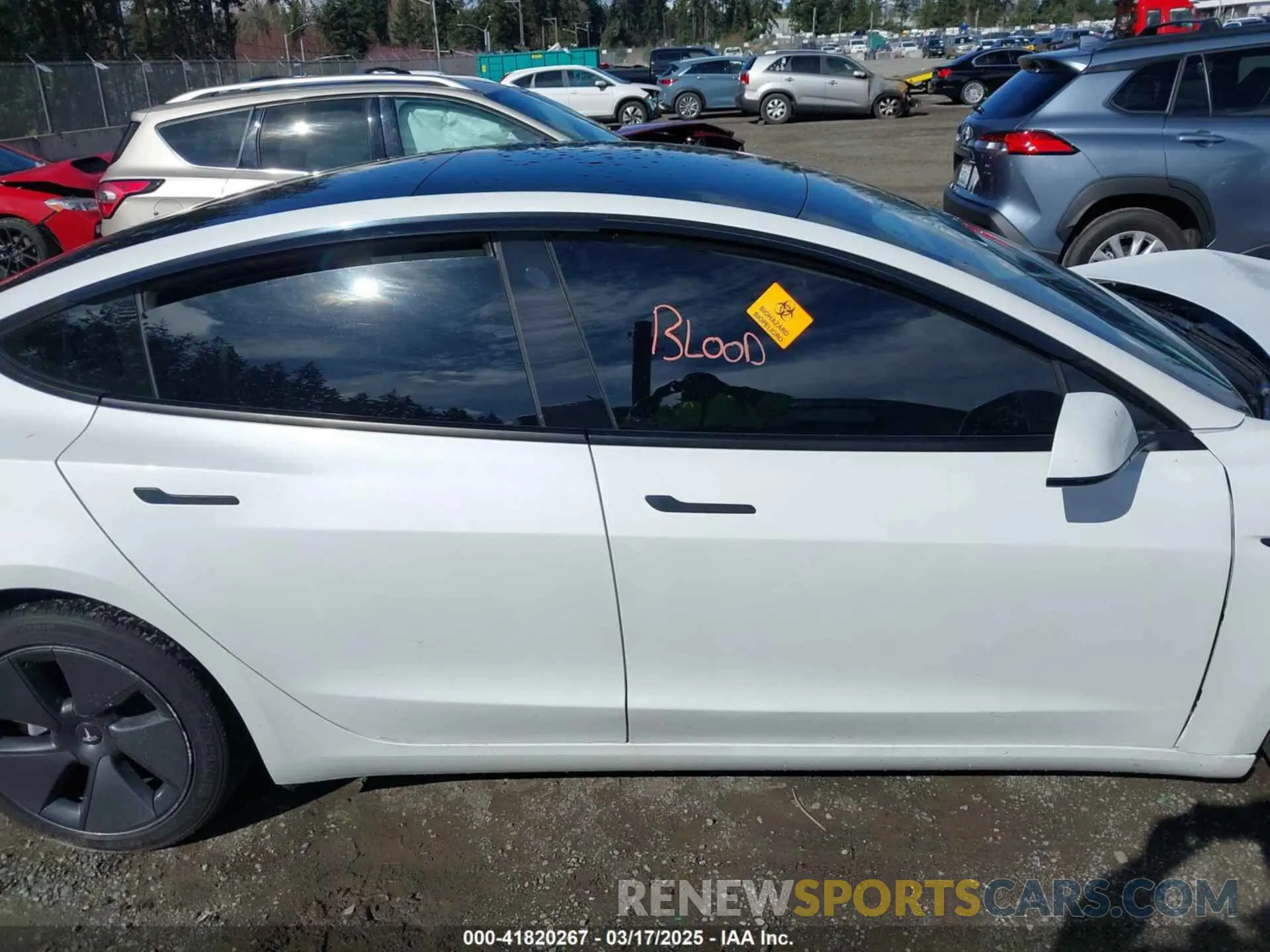 13 fotografías del automóvil dañado 5YJ3E1EA0MF062074 TESLA MODEL 3 2021