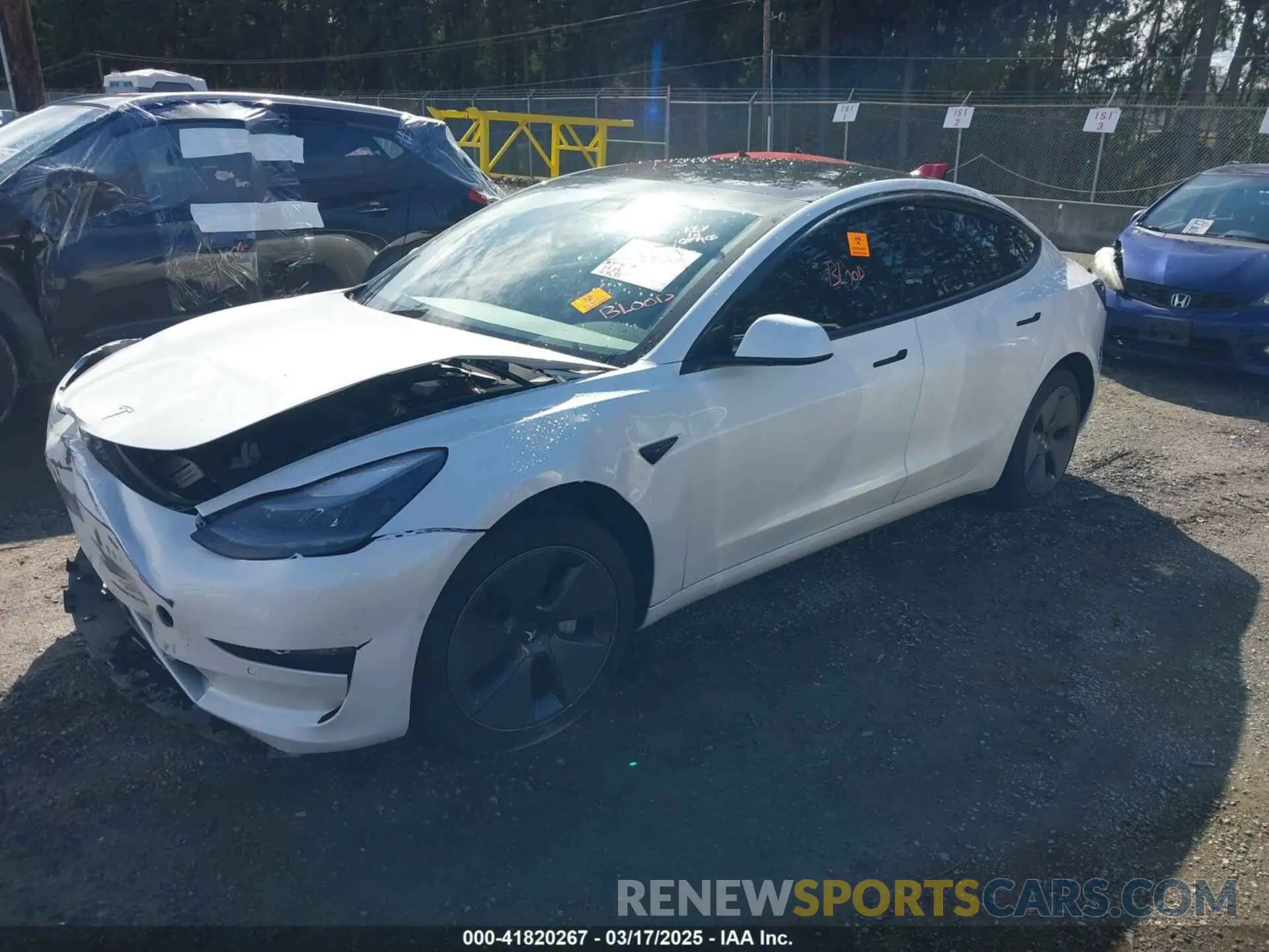 2 fotografías del automóvil dañado 5YJ3E1EA0MF062074 TESLA MODEL 3 2021