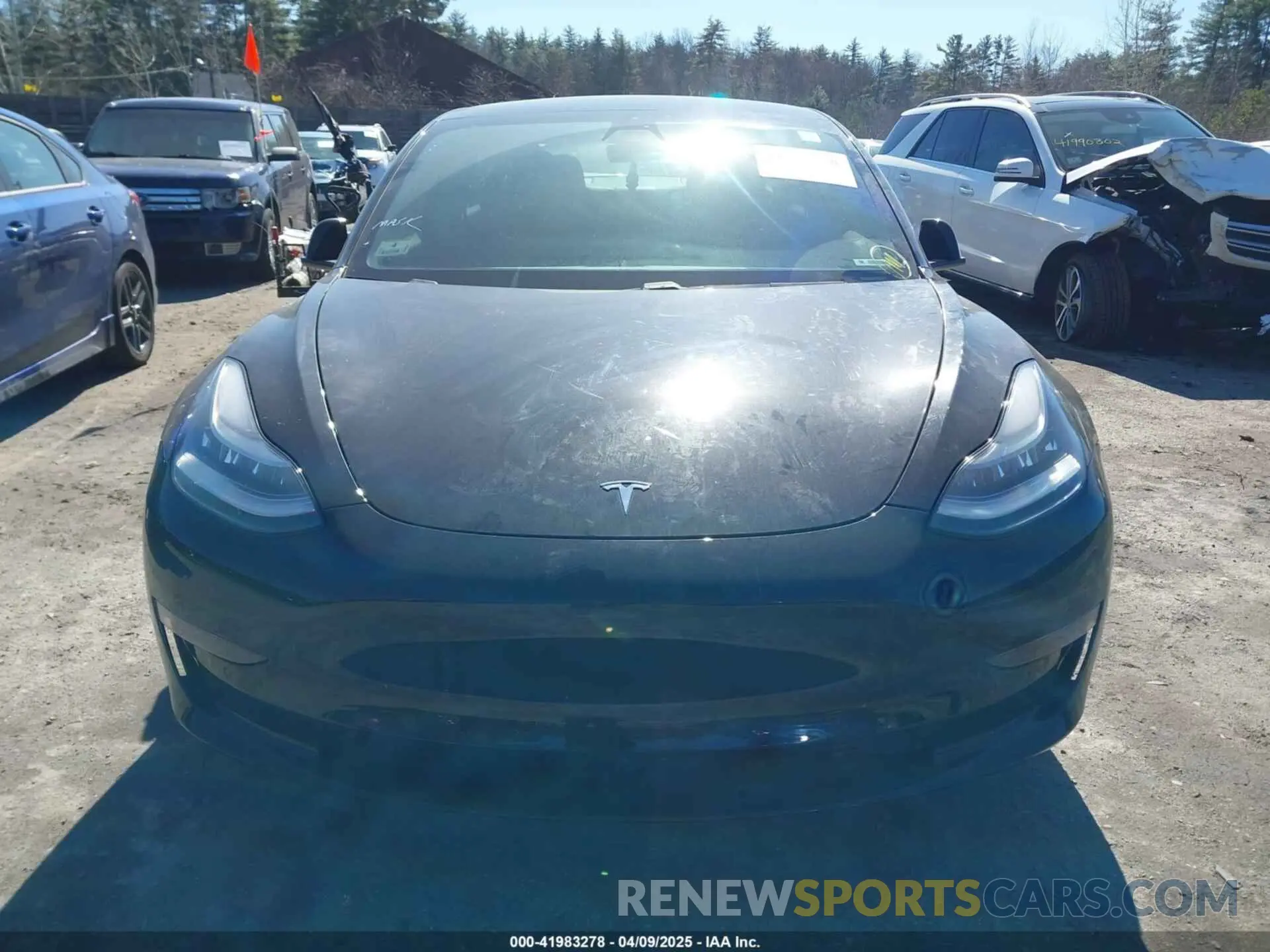 12 fotografías del automóvil dañado 5YJ3E1EA1MF851155 TESLA MODEL 3 2021