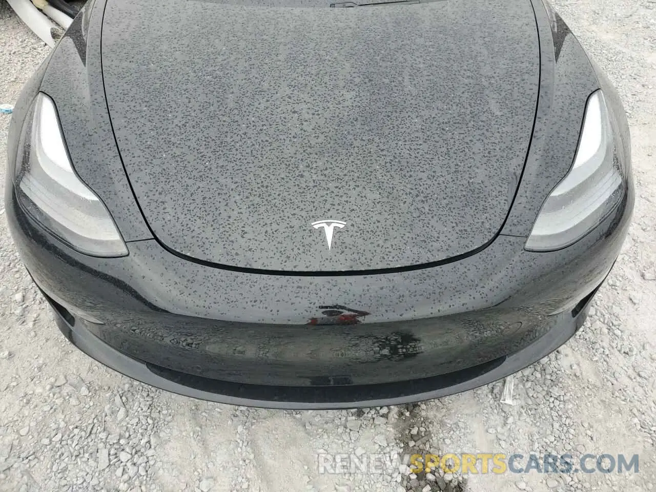 11 fotografías del automóvil dañado 5YJ3E1EA2MF016391 TESLA MODEL 3 2021