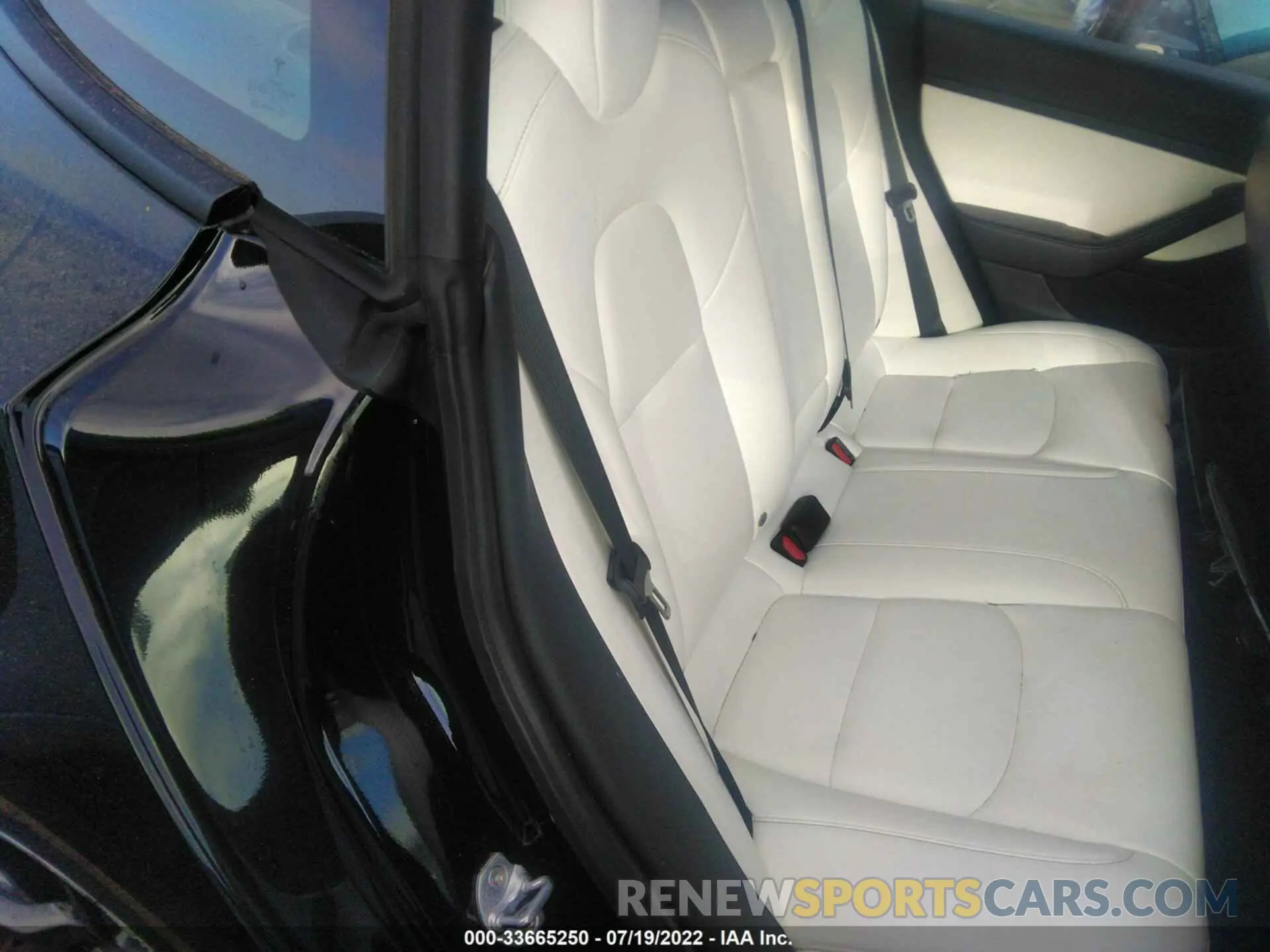 8 fotografías del automóvil dañado 5YJ3E1EA2MF938577 TESLA MODEL 3 2021