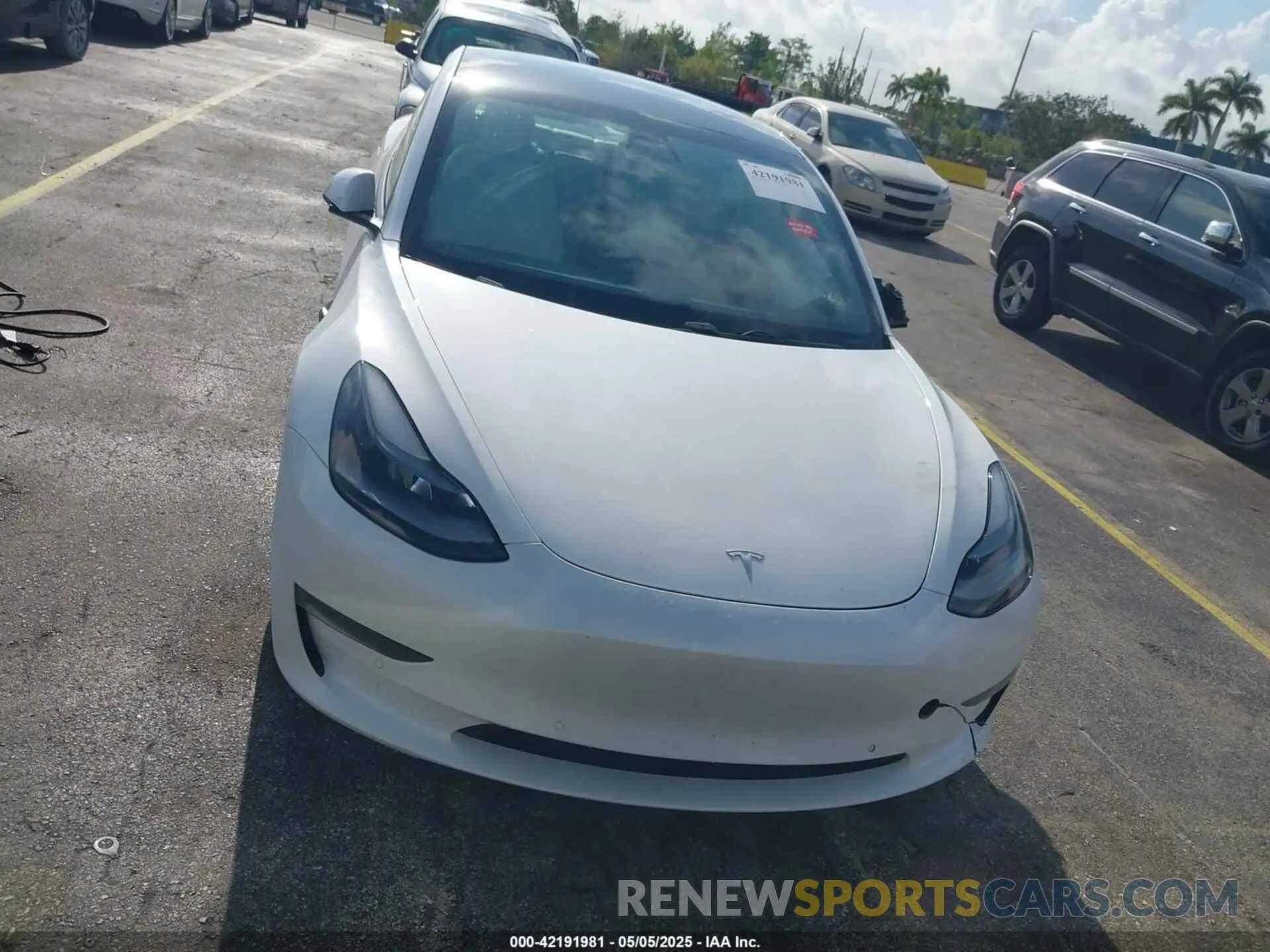 13 fotografías del automóvil dañado 5YJ3E1EA2MF973202 TESLA MODEL 3 2021