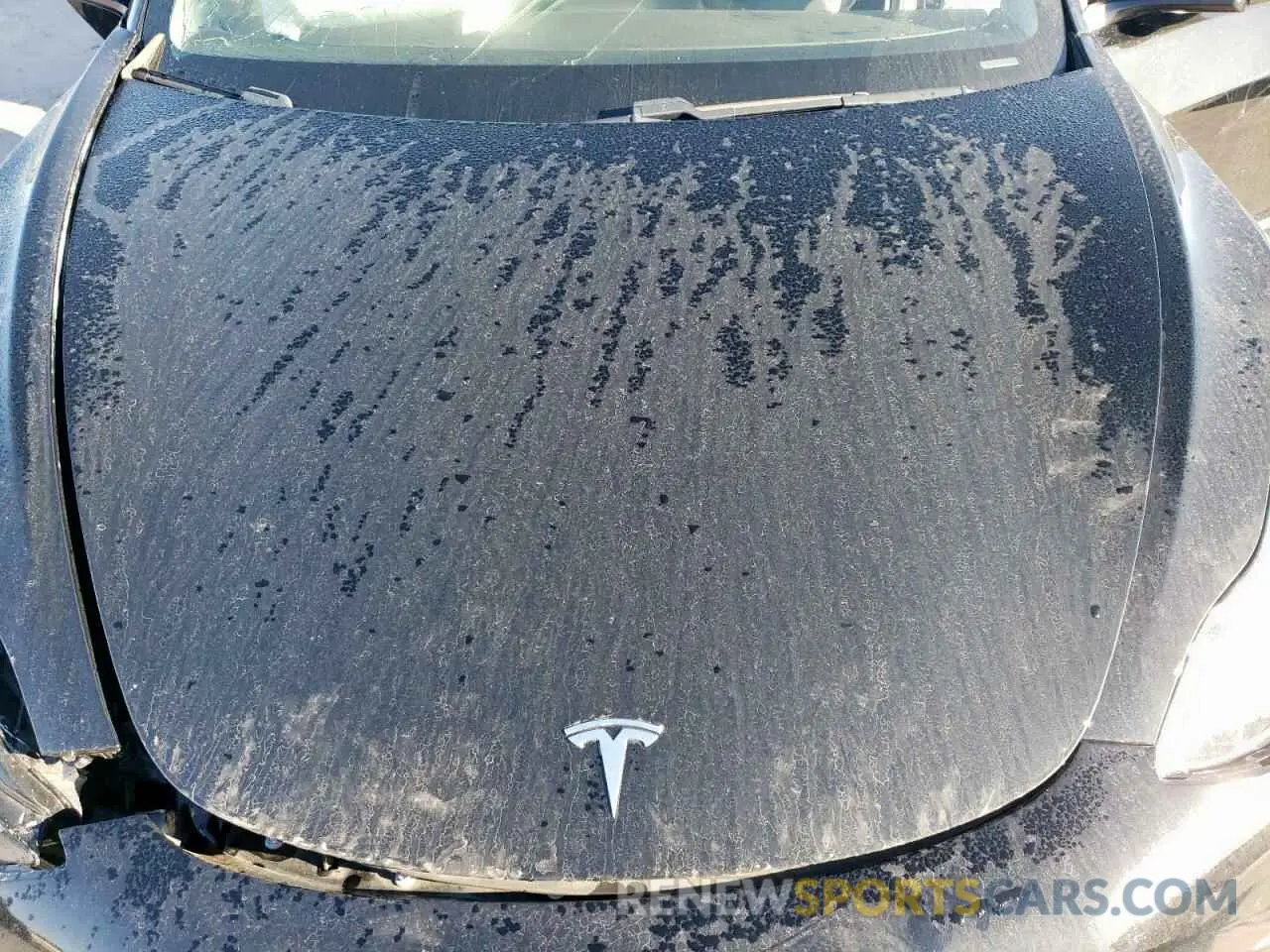 11 fotografías del automóvil dañado 5YJ3E1EA2MF977007 TESLA MODEL 3 2021