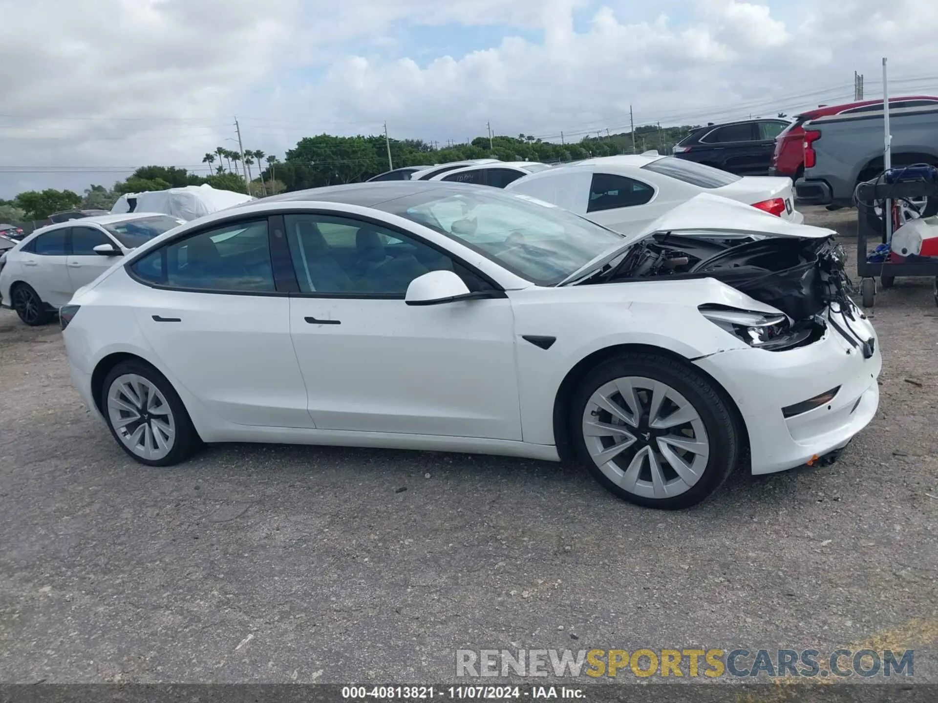12 fotografías del automóvil dañado 5YJ3E1EA2MF990842 TESLA MODEL 3 2021