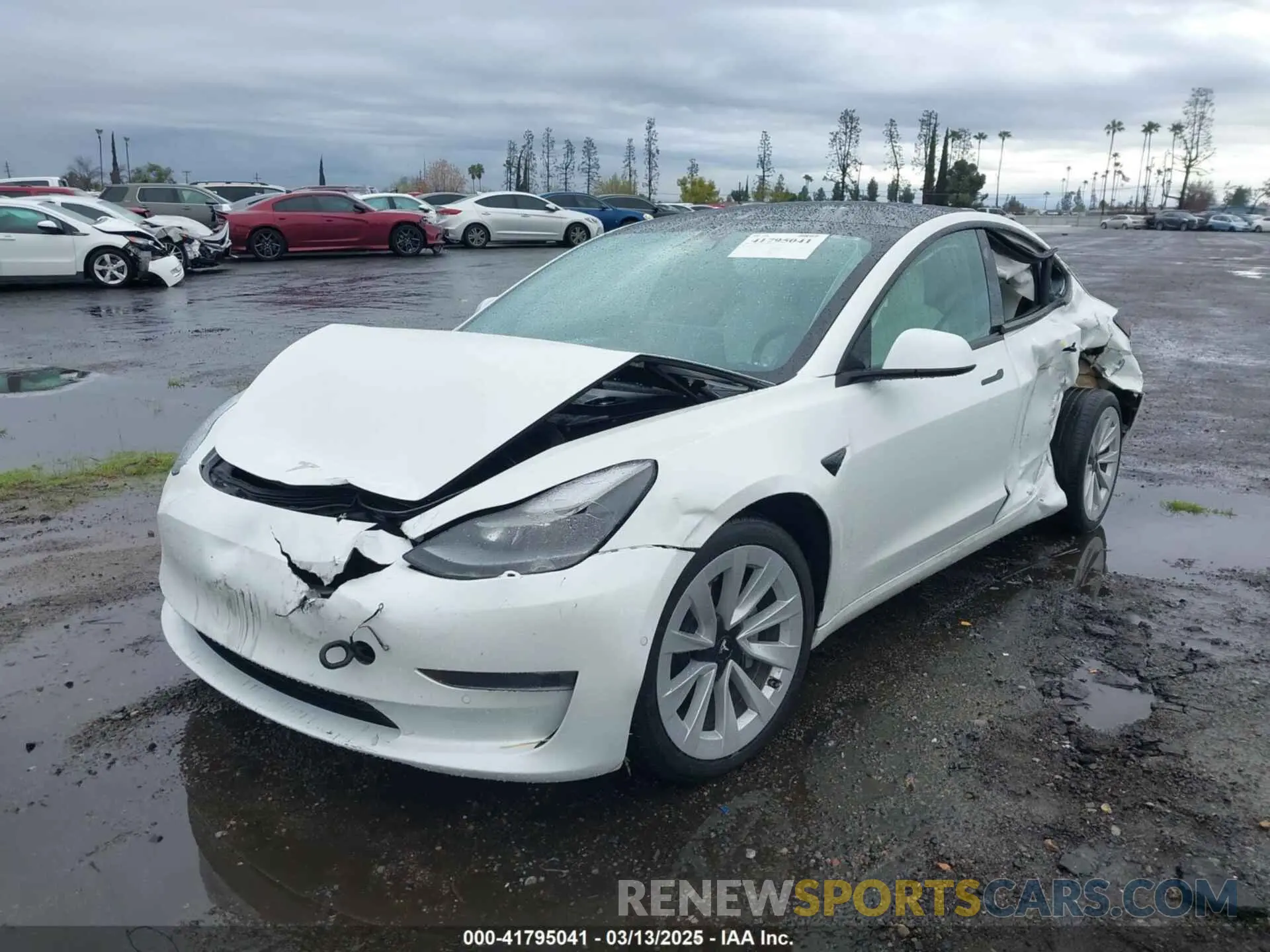 2 fotografías del automóvil dañado 5YJ3E1EA3MF032180 TESLA MODEL 3 2021
