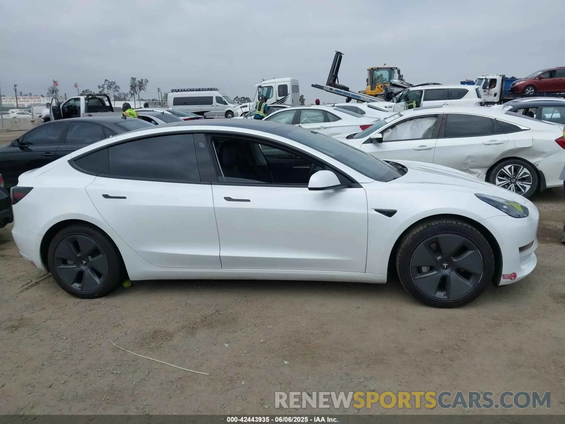 12 fotografías del automóvil dañado 5YJ3E1EA3MF072520 TESLA MODEL 3 2021