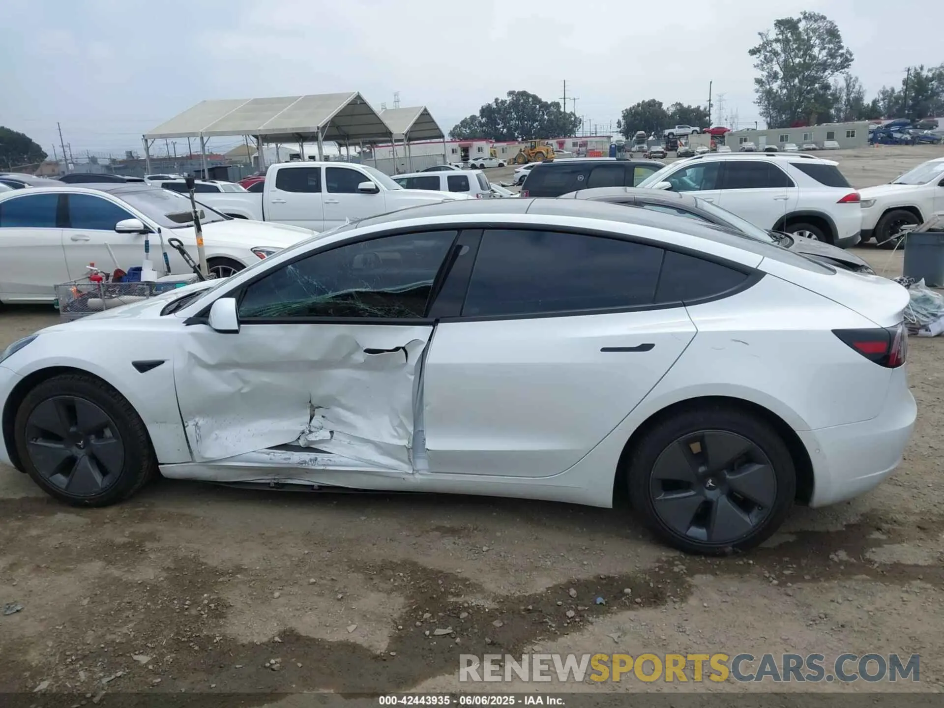 13 fotografías del automóvil dañado 5YJ3E1EA3MF072520 TESLA MODEL 3 2021
