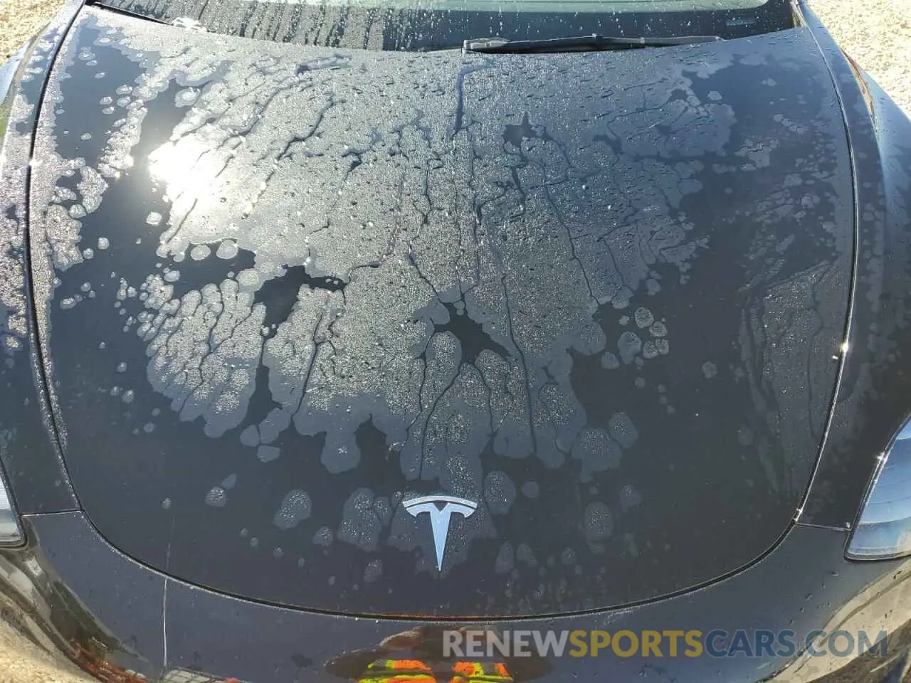 7 fotografías del automóvil dañado 5YJ3E1EA3MF093769 TESLA MODEL 3 2021