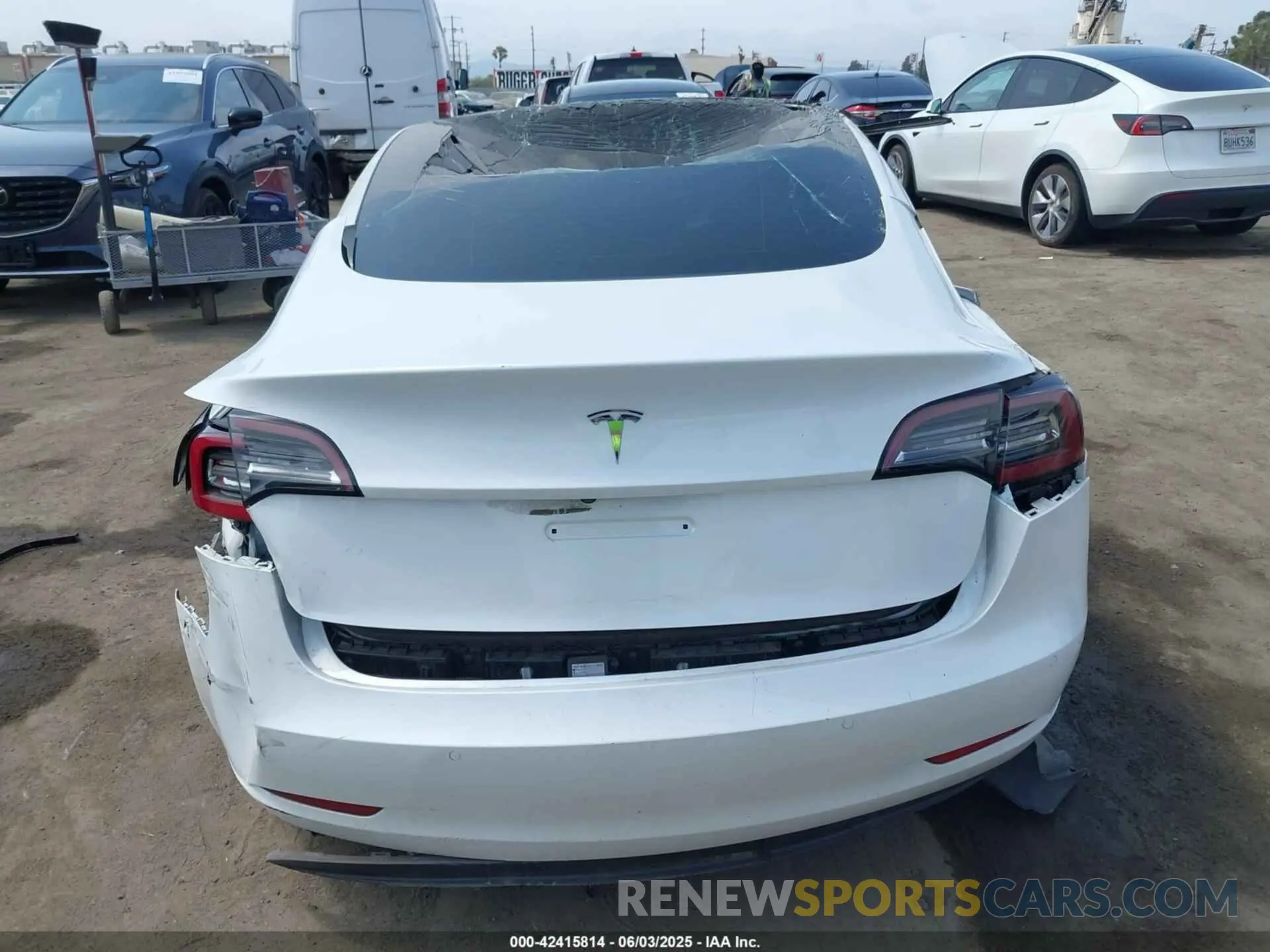 16 fotografías del automóvil dañado 5YJ3E1EA3MF921206 TESLA MODEL 3 2021