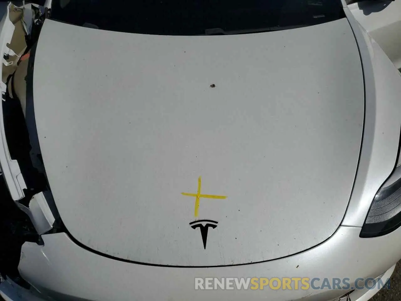 11 fotografías del automóvil dañado 5YJ3E1EA4MF002993 TESLA MODEL 3 2021