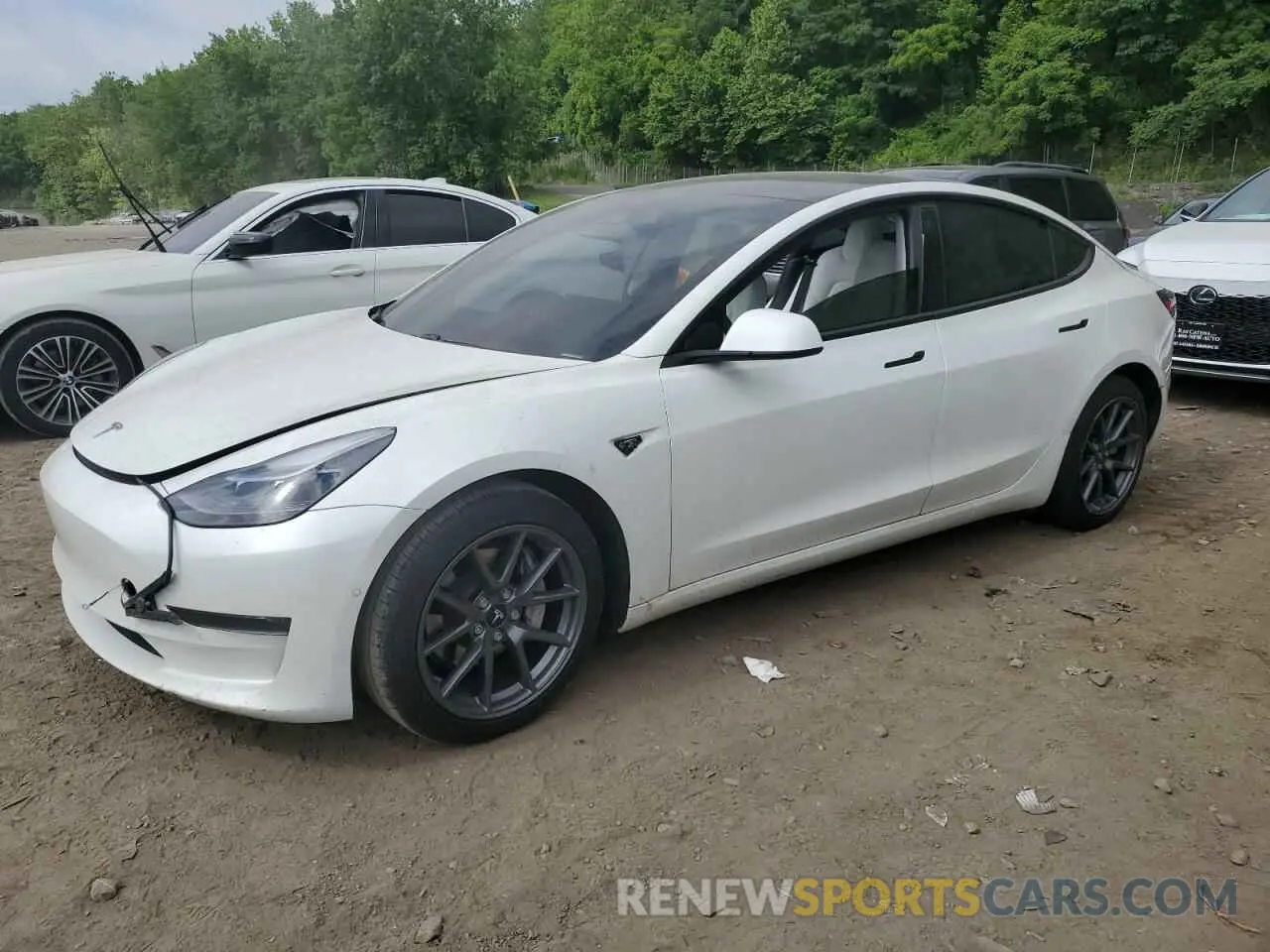 1 fotografías del automóvil dañado 5YJ3E1EA4MF018563 TESLA MODEL 3 2021