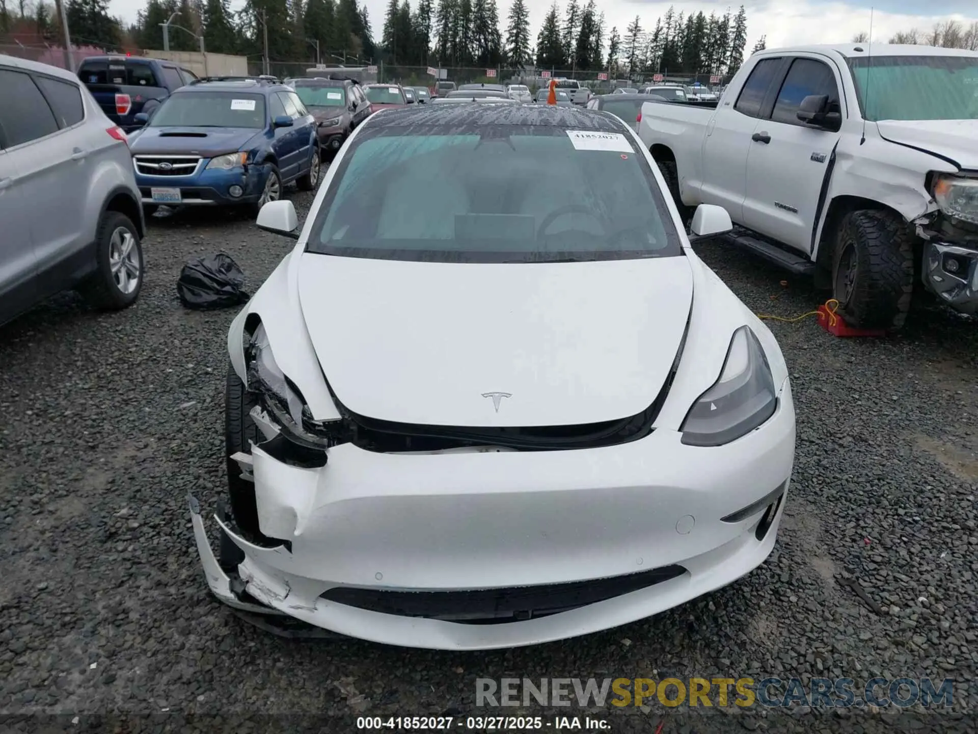 12 fotografías del automóvil dañado 5YJ3E1EA4MF096048 TESLA MODEL 3 2021
