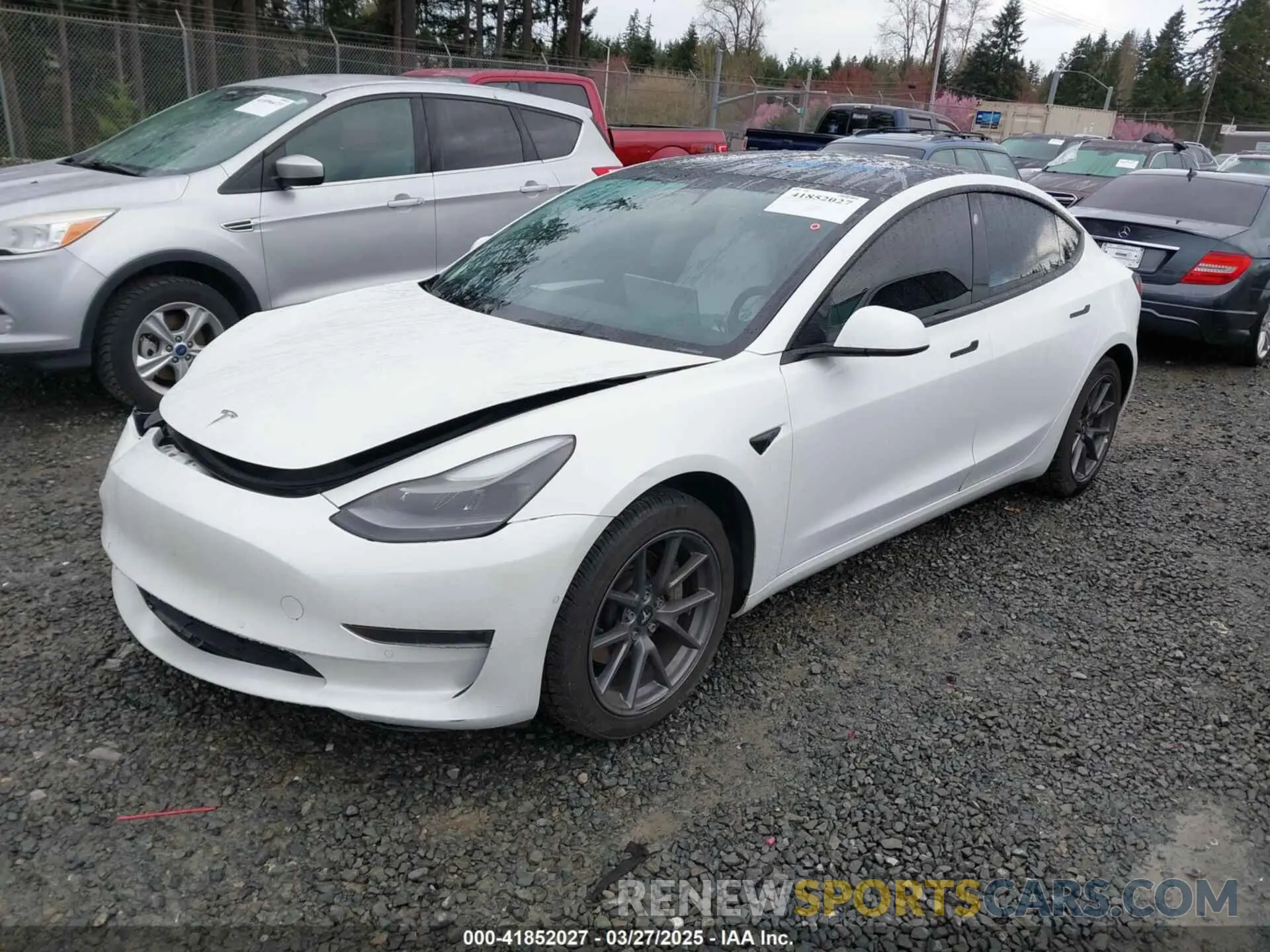 2 fotografías del automóvil dañado 5YJ3E1EA4MF096048 TESLA MODEL 3 2021