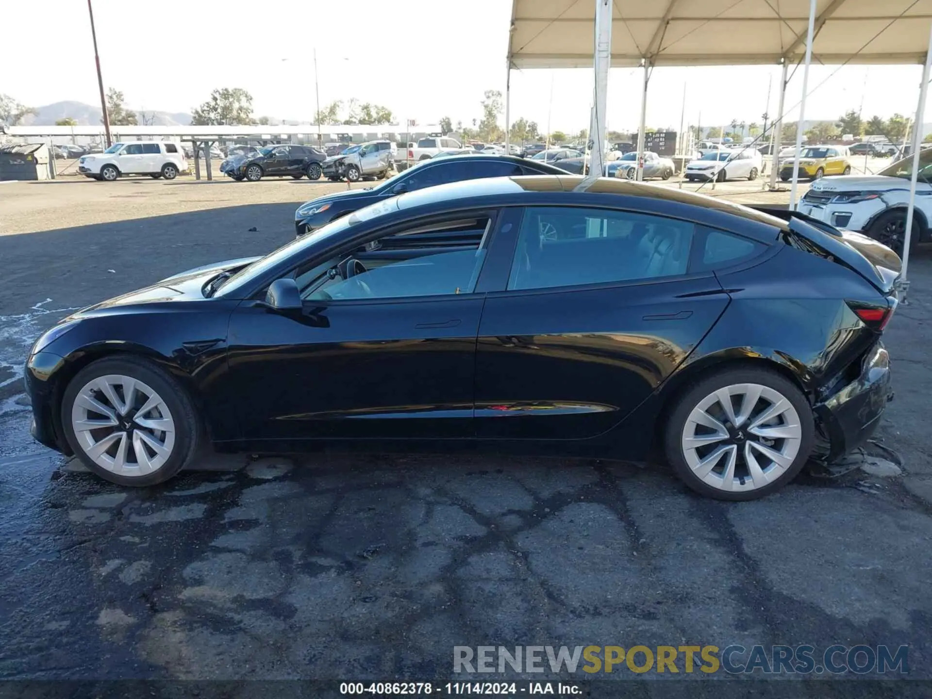 14 fotografías del automóvil dañado 5YJ3E1EA4MF998473 TESLA MODEL 3 2021
