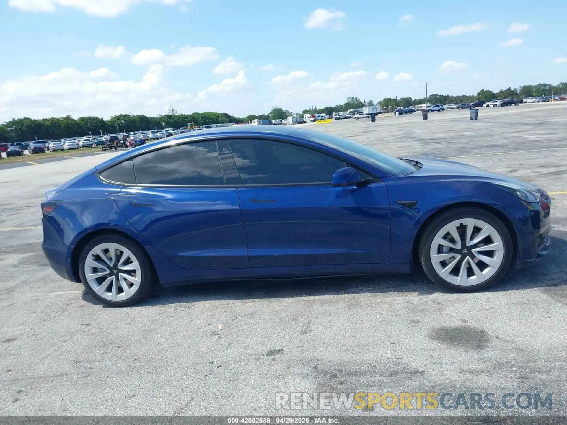 12 fotografías del automóvil dañado 5YJ3E1EA5MF031872 TESLA MODEL 3 2021