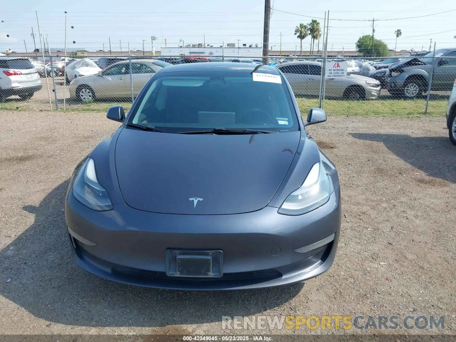 12 fotografías del automóvil dañado 5YJ3E1EA5MF099511 TESLA MODEL 3 2021