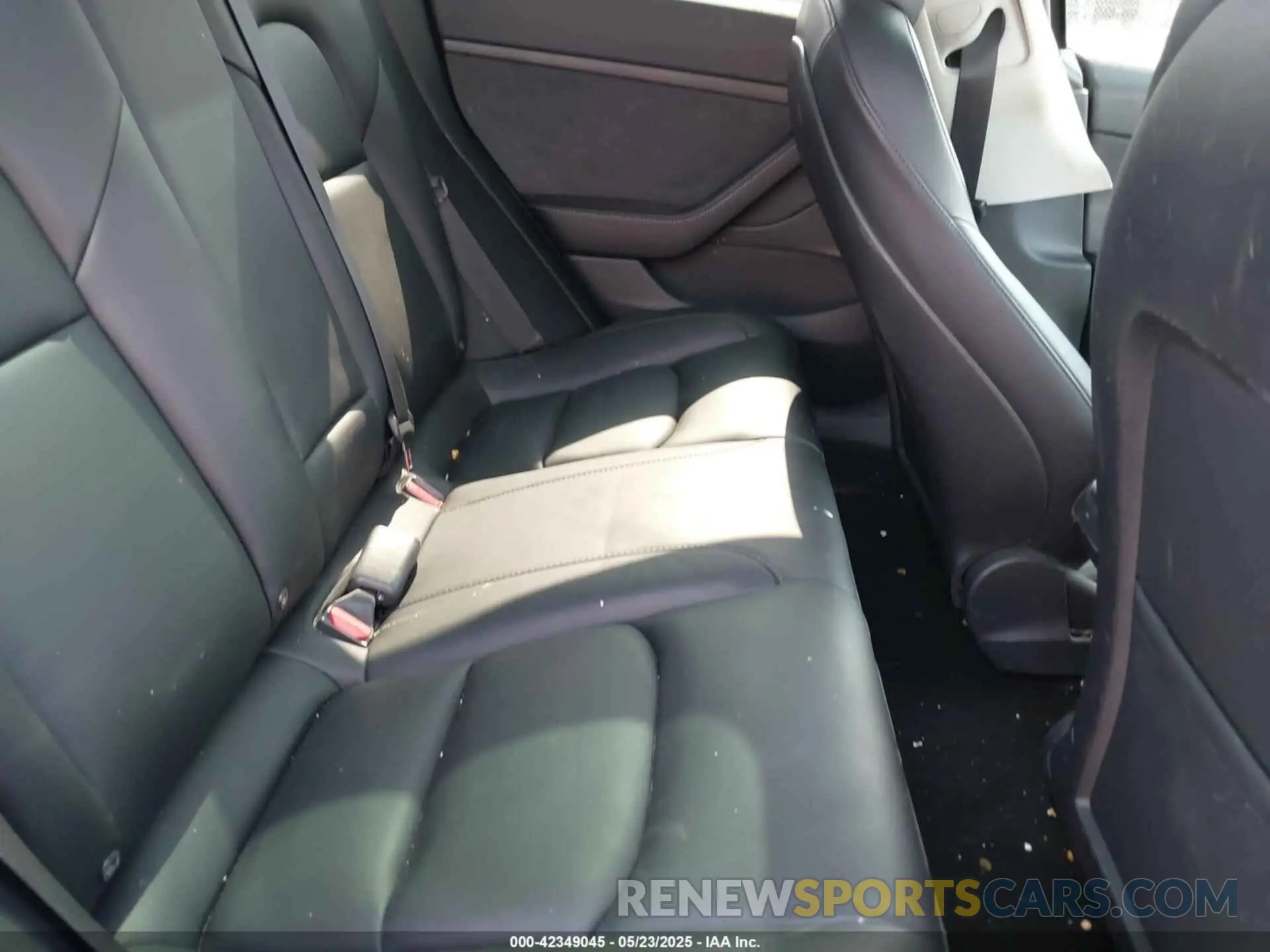8 fotografías del automóvil dañado 5YJ3E1EA5MF099511 TESLA MODEL 3 2021