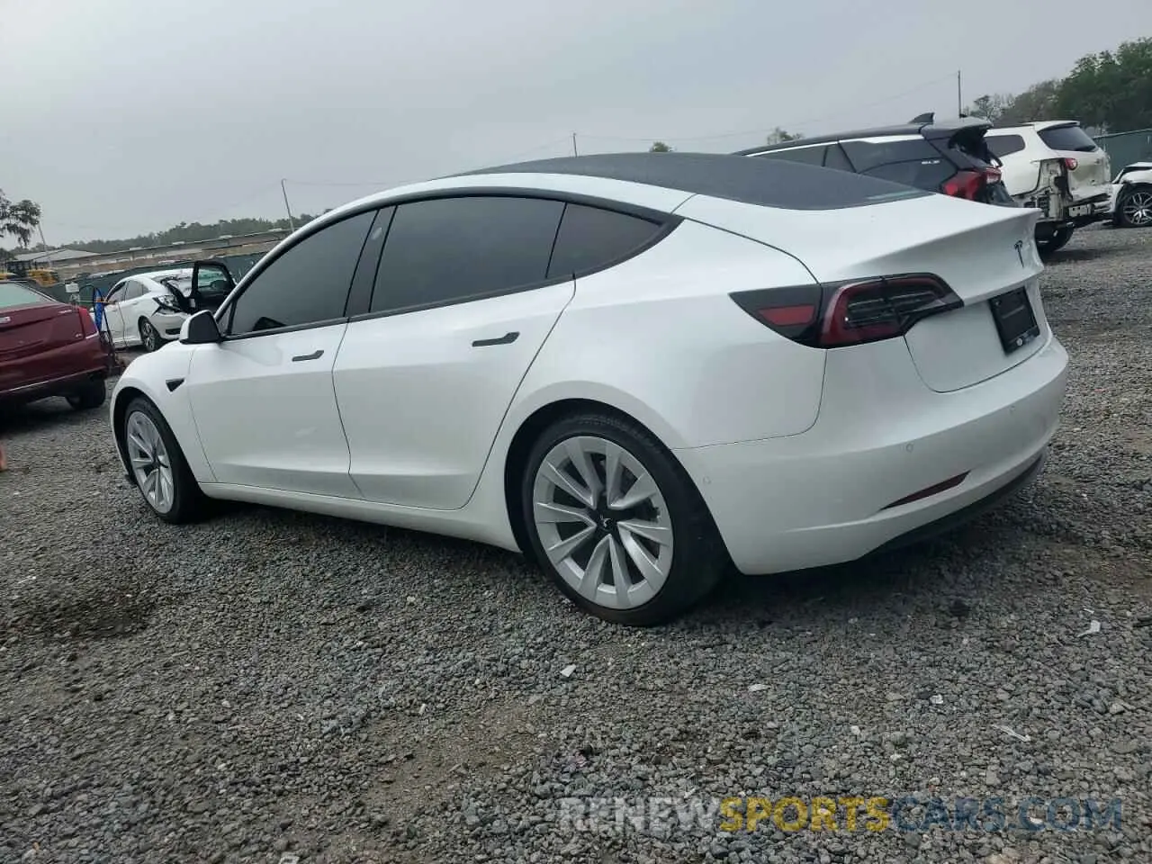 2 fotografías del automóvil dañado 5YJ3E1EA5MF922132 TESLA MODEL 3 2021