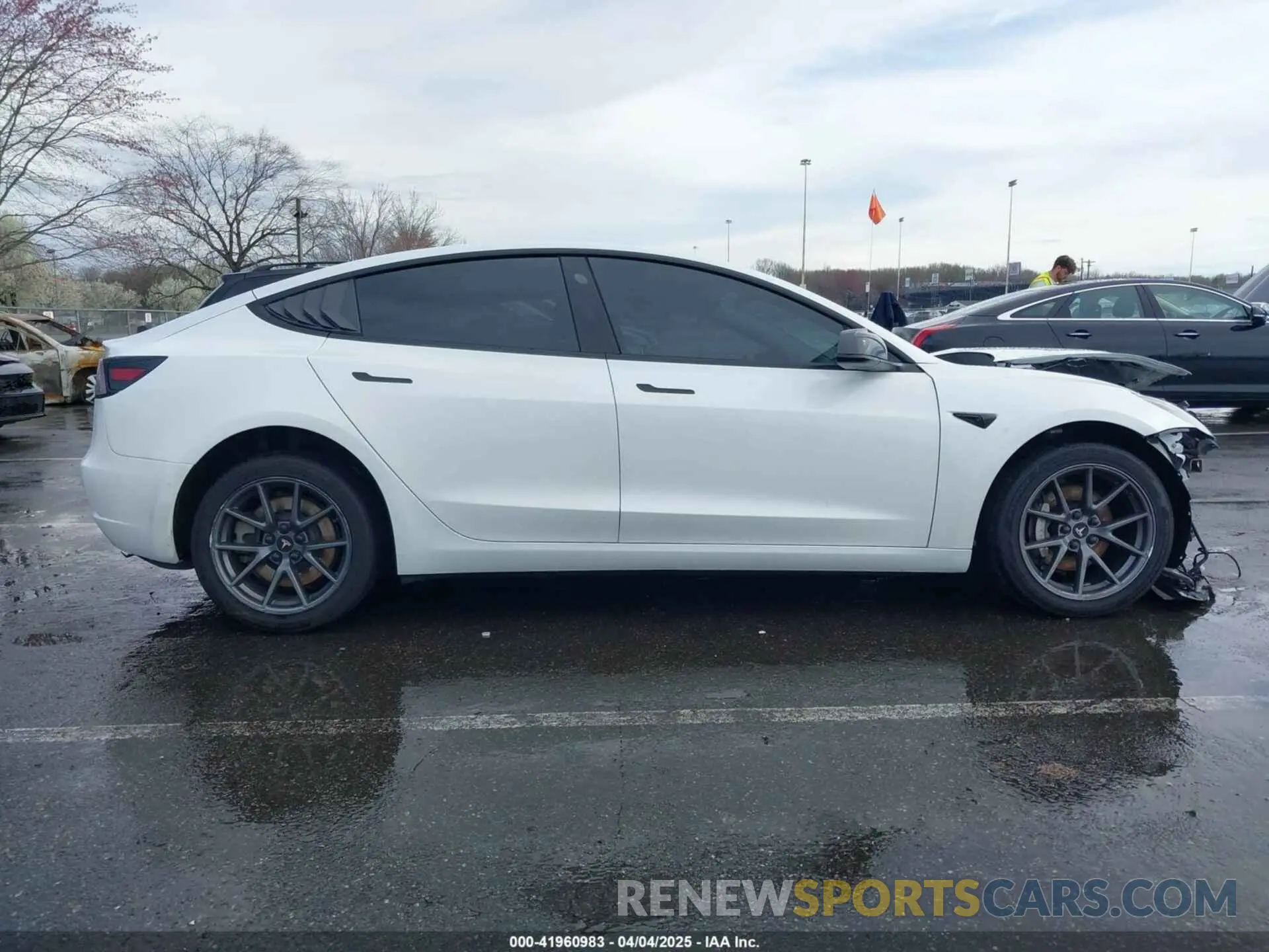 12 fotografías del automóvil dañado 5YJ3E1EA5MF976255 TESLA MODEL 3 2021