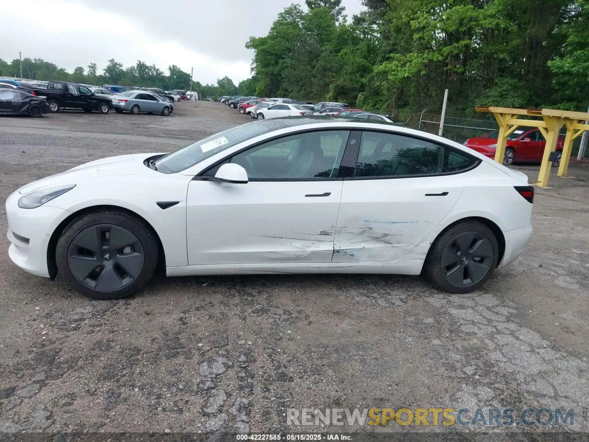 14 fotografías del automóvil dañado 5YJ3E1EA6MF854245 TESLA MODEL 3 2021
