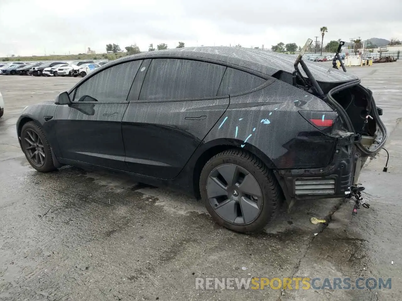 2 fotografías del automóvil dañado 5YJ3E1EA6MF938582 TESLA MODEL 3 2021