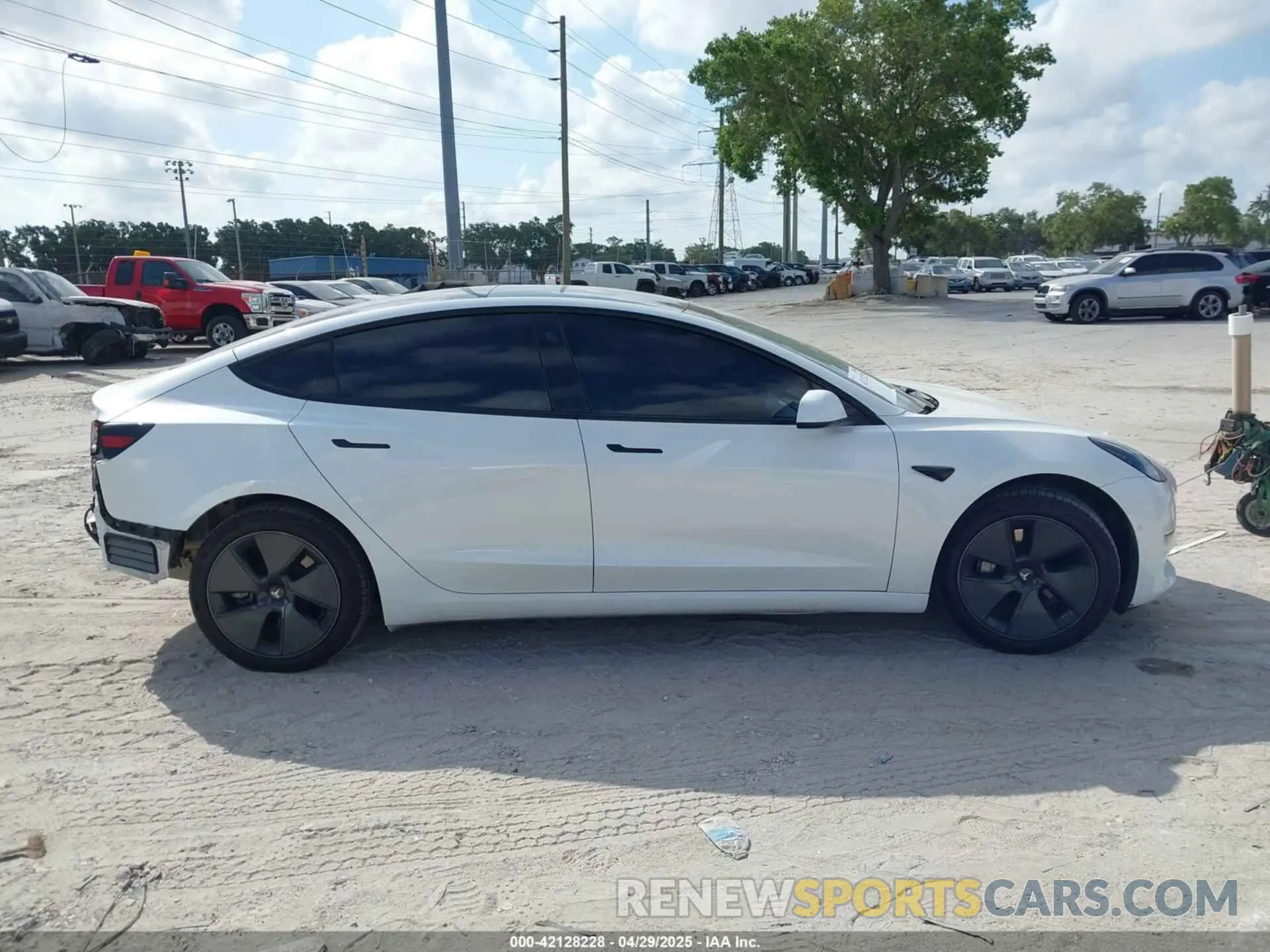 13 fotografías del automóvil dañado 5YJ3E1EA6MF973154 TESLA MODEL 3 2021