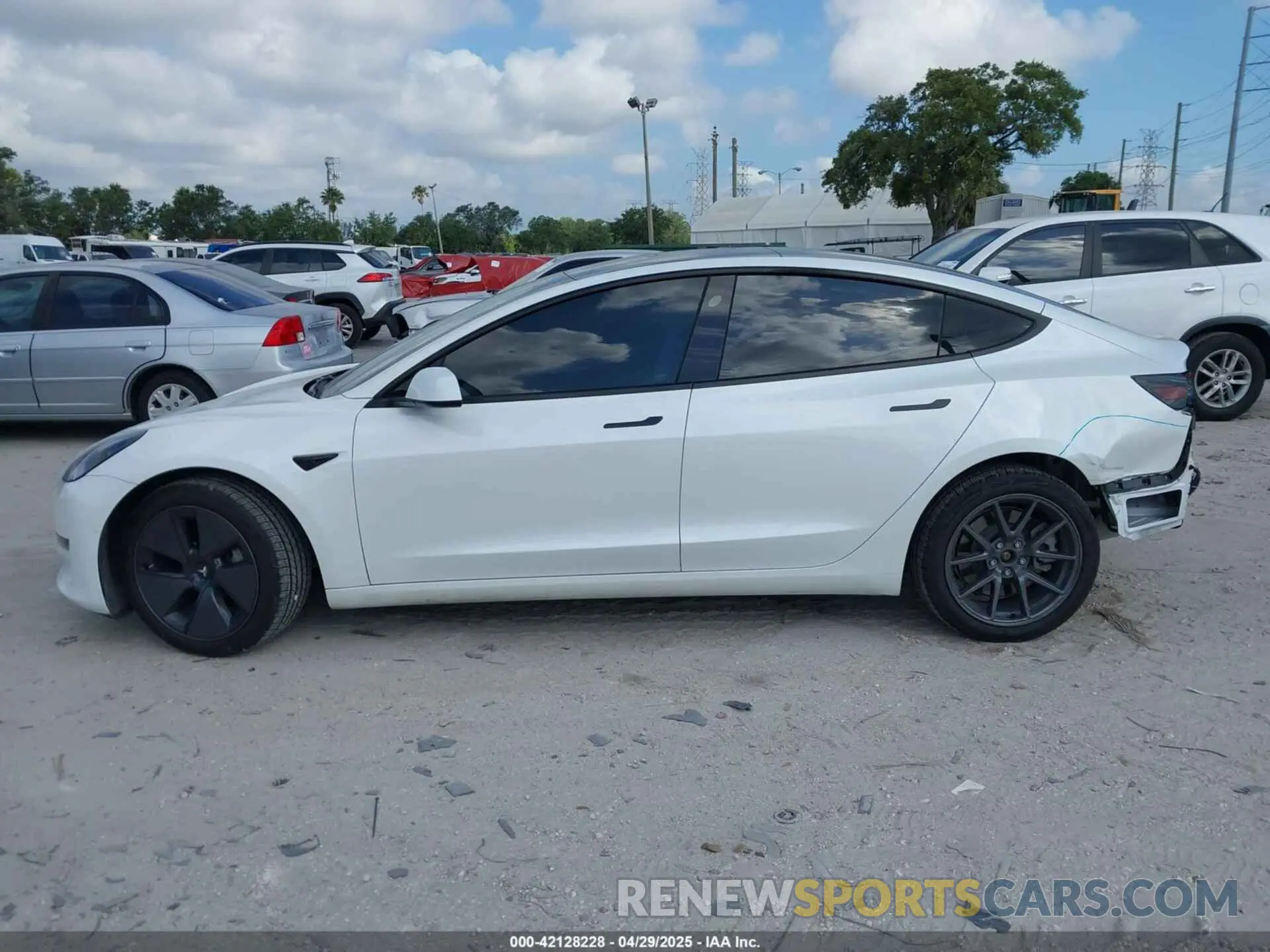 14 fotografías del automóvil dañado 5YJ3E1EA6MF973154 TESLA MODEL 3 2021