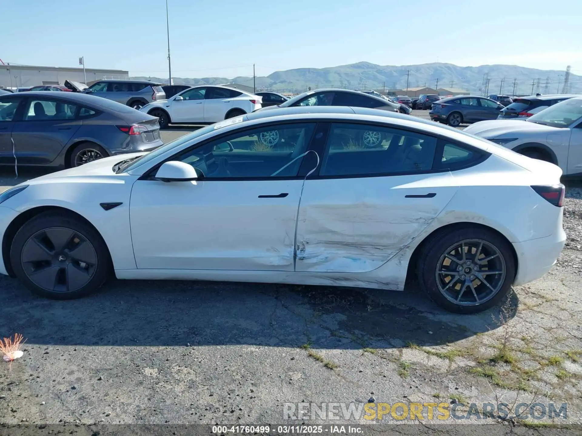 15 fotografías del automóvil dañado 5YJ3E1EA7MF021196 TESLA MODEL 3 2021