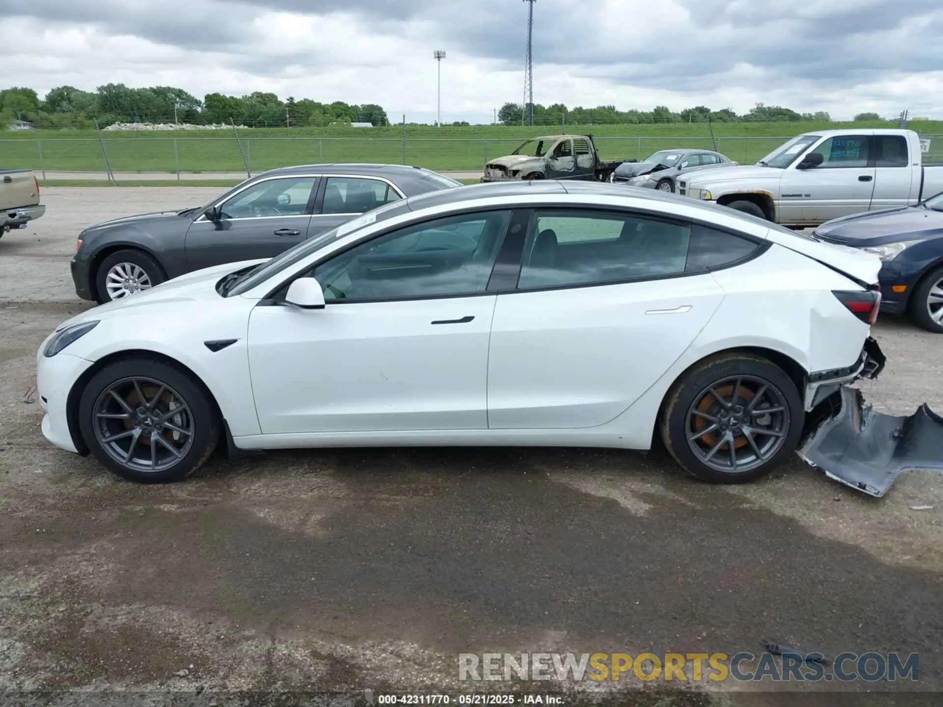 14 fotografías del automóvil dañado 5YJ3E1EA7MF042291 TESLA MODEL 3 2021