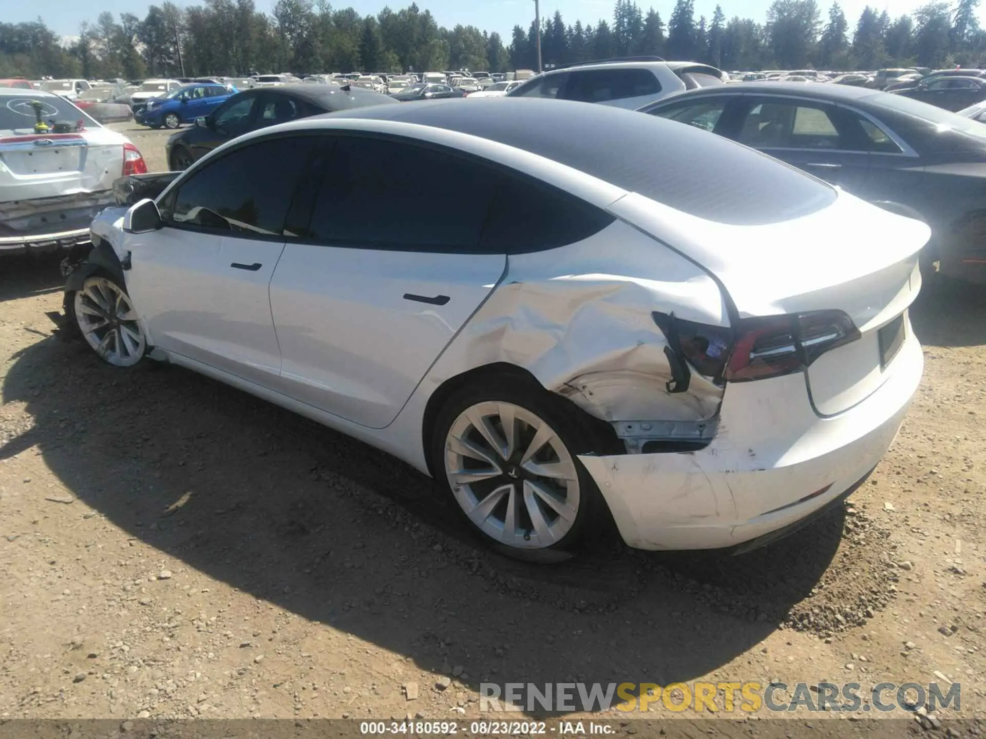 3 fotografías del automóvil dañado 5YJ3E1EA7MF064534 TESLA MODEL 3 2021