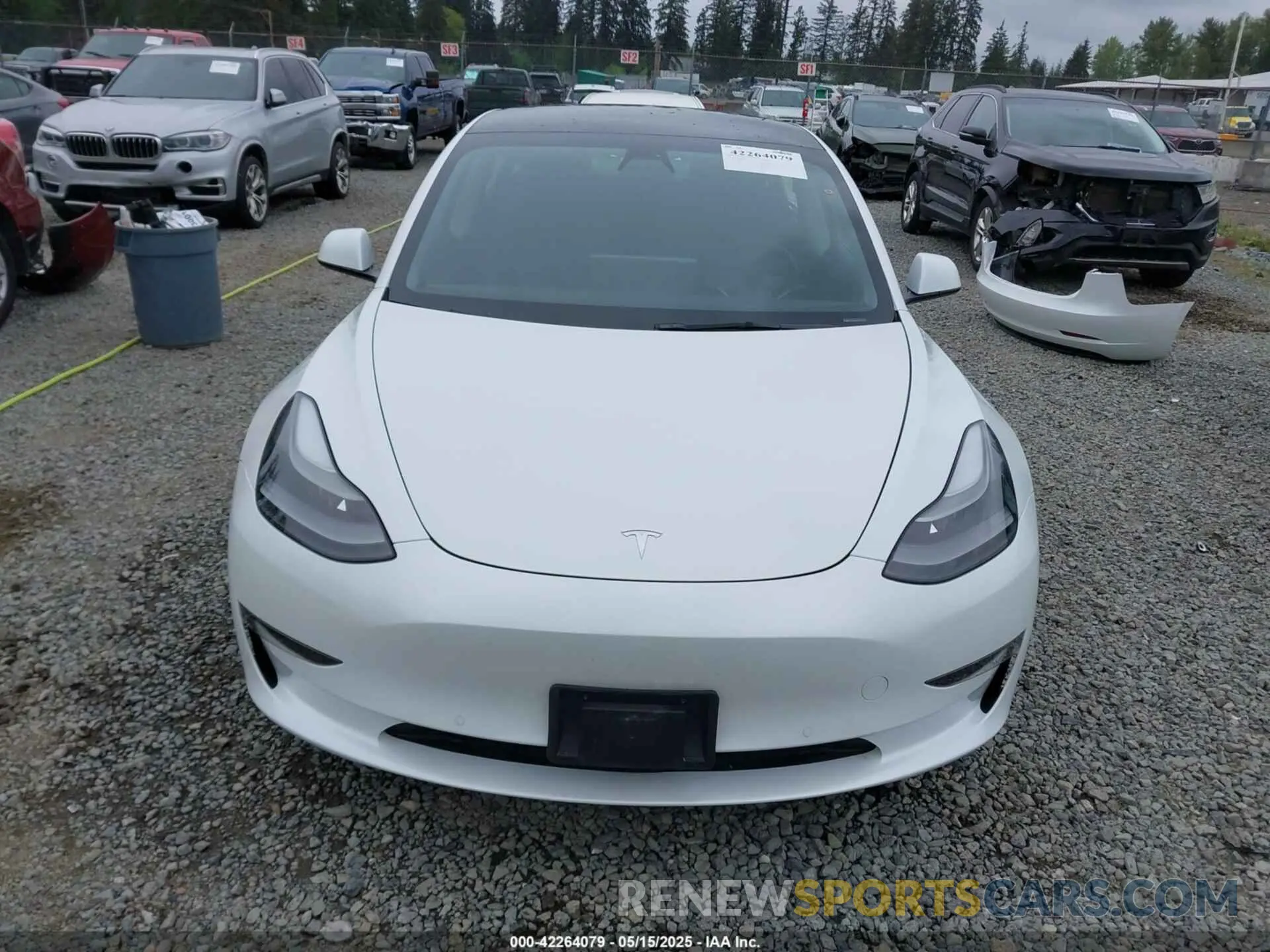13 fotografías del automóvil dañado 5YJ3E1EA7MF098215 TESLA MODEL 3 2021
