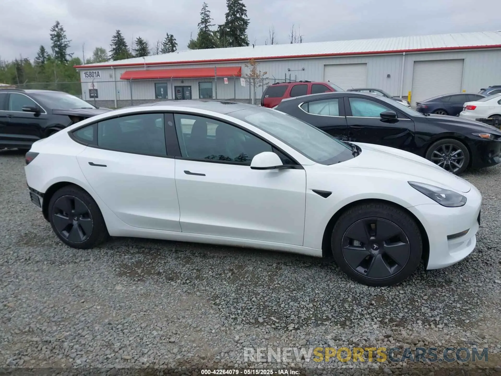 14 fotografías del automóvil dañado 5YJ3E1EA7MF098215 TESLA MODEL 3 2021