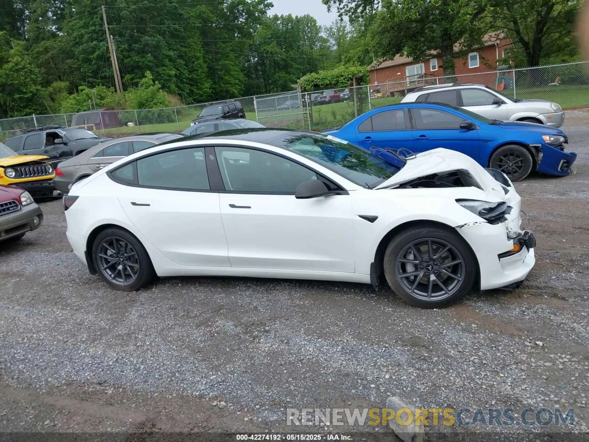 14 fotografías del automóvil dañado 5YJ3E1EA8MF023748 TESLA MODEL 3 2021