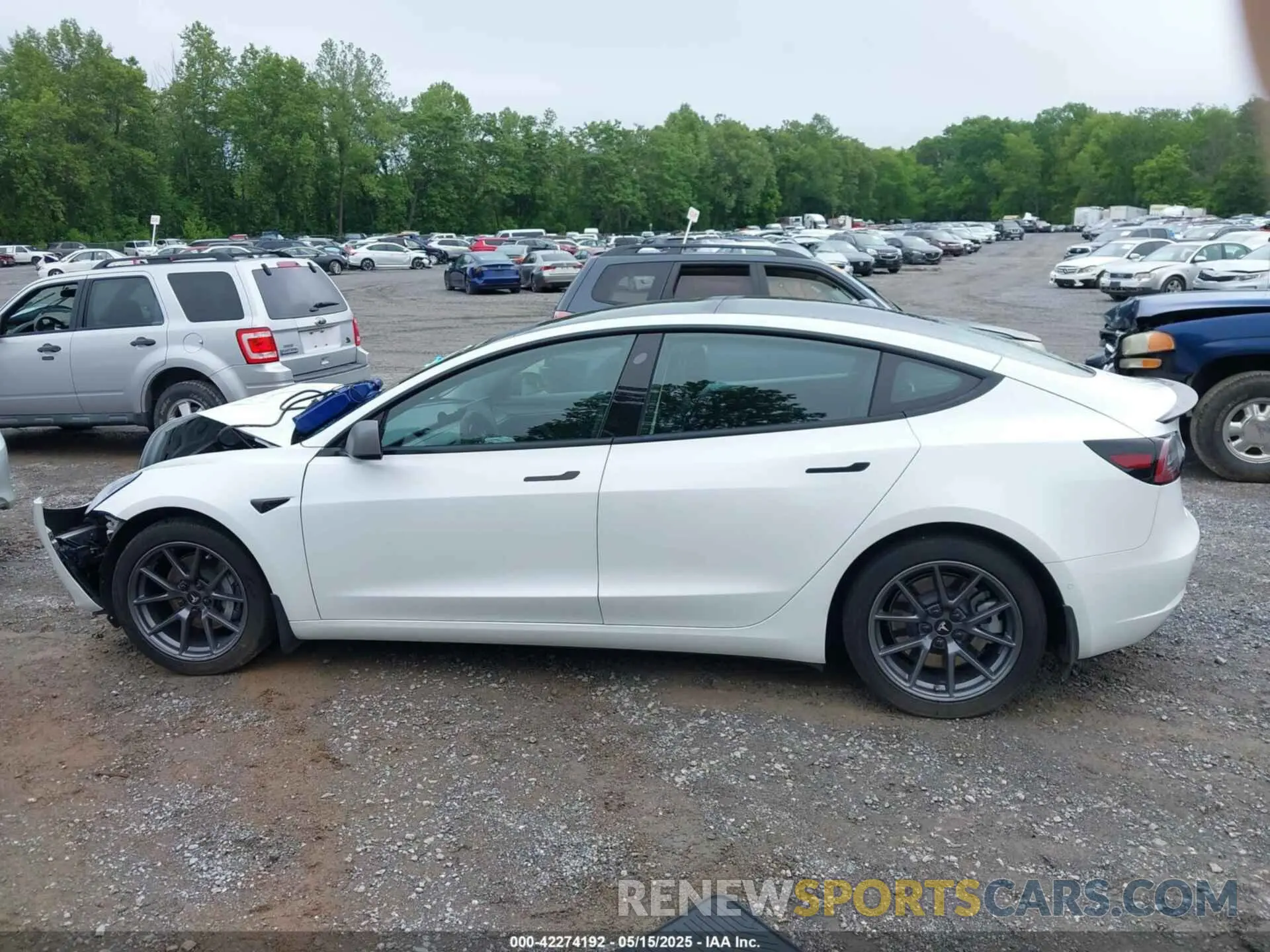 15 fotografías del automóvil dañado 5YJ3E1EA8MF023748 TESLA MODEL 3 2021