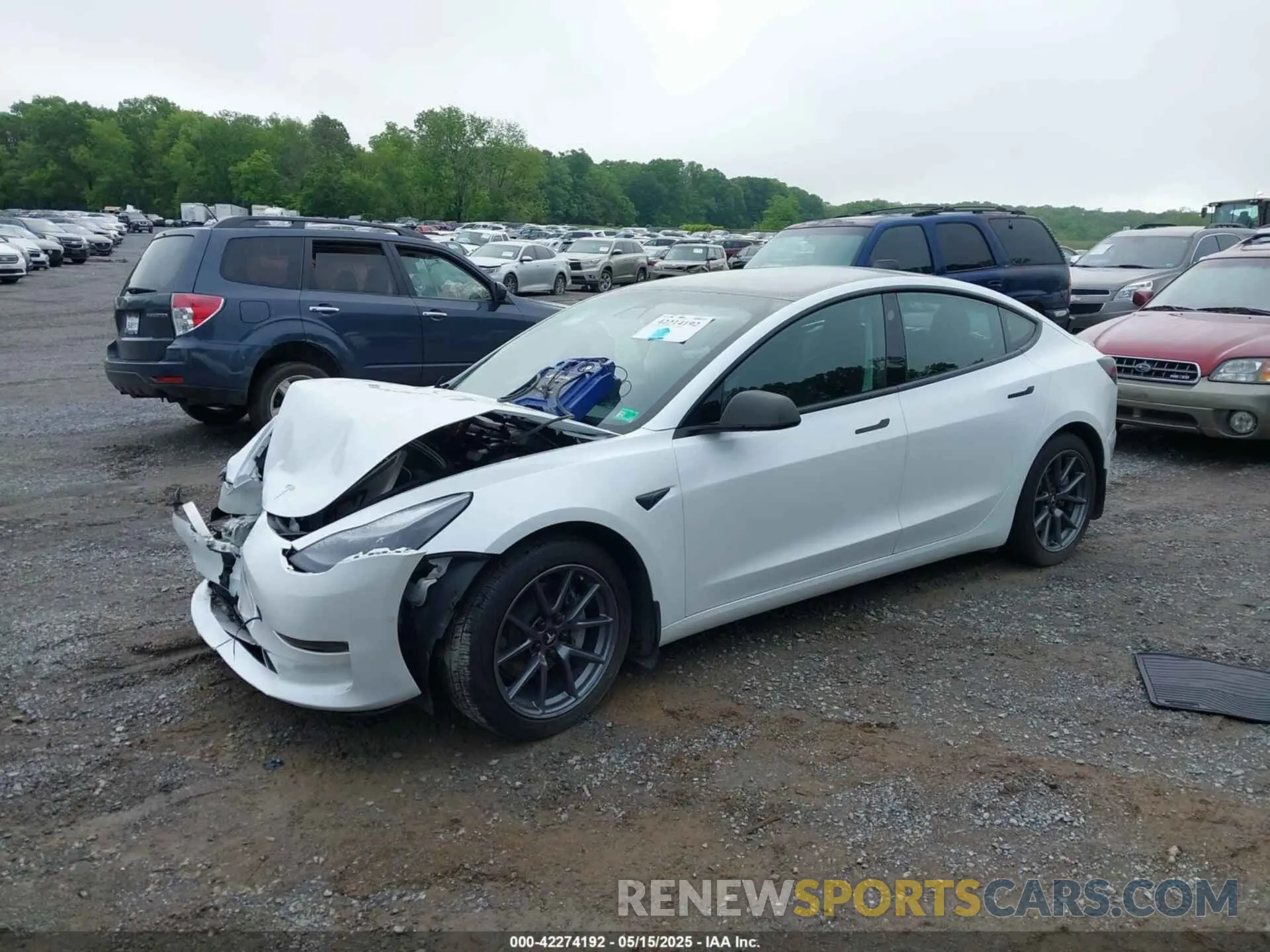2 fotografías del automóvil dañado 5YJ3E1EA8MF023748 TESLA MODEL 3 2021