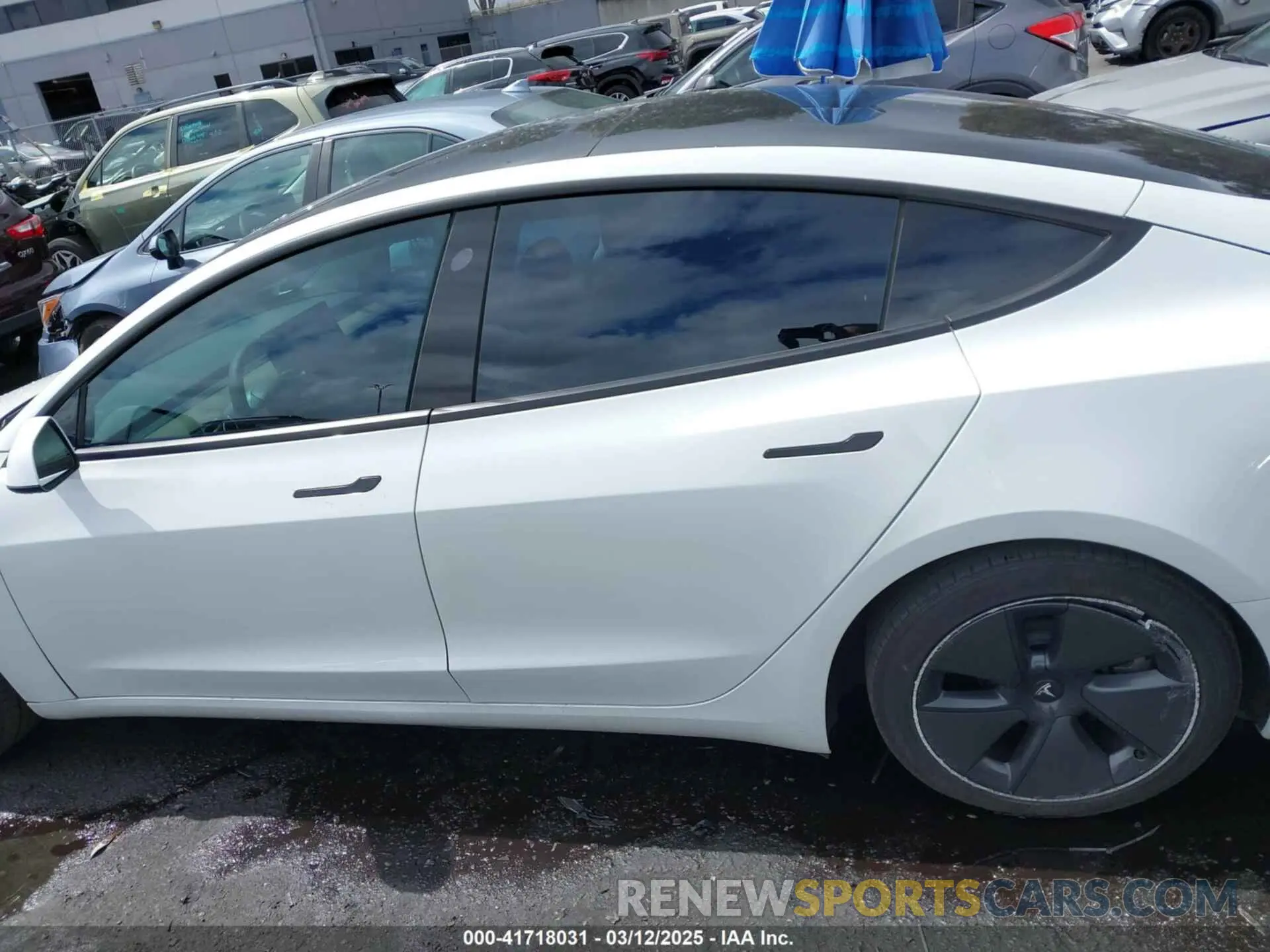 14 fotografías del automóvil dañado 5YJ3E1EA8MF087580 TESLA MODEL 3 2021