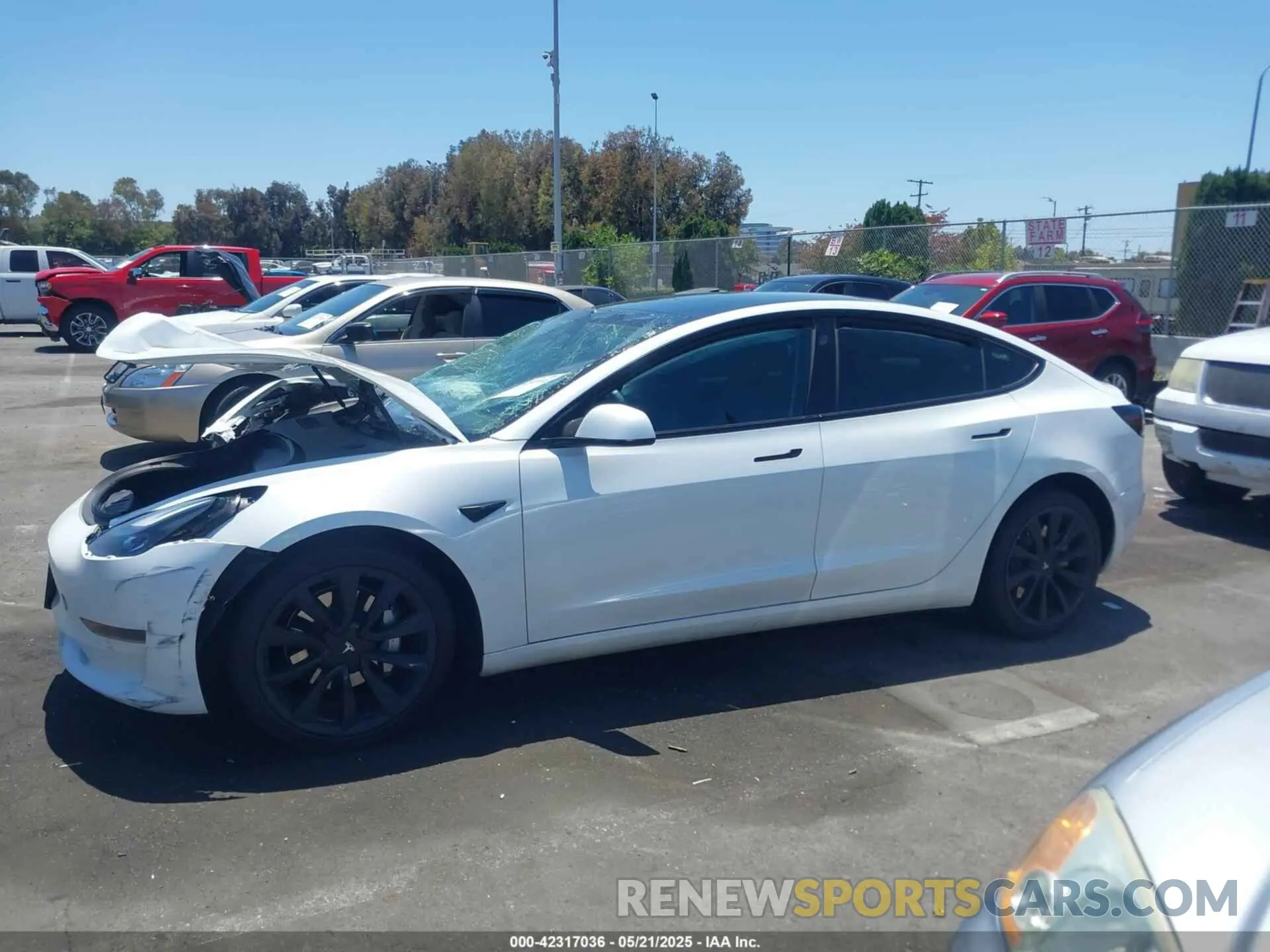 14 fotografías del automóvil dañado 5YJ3E1EA9MF001936 TESLA MODEL 3 2021